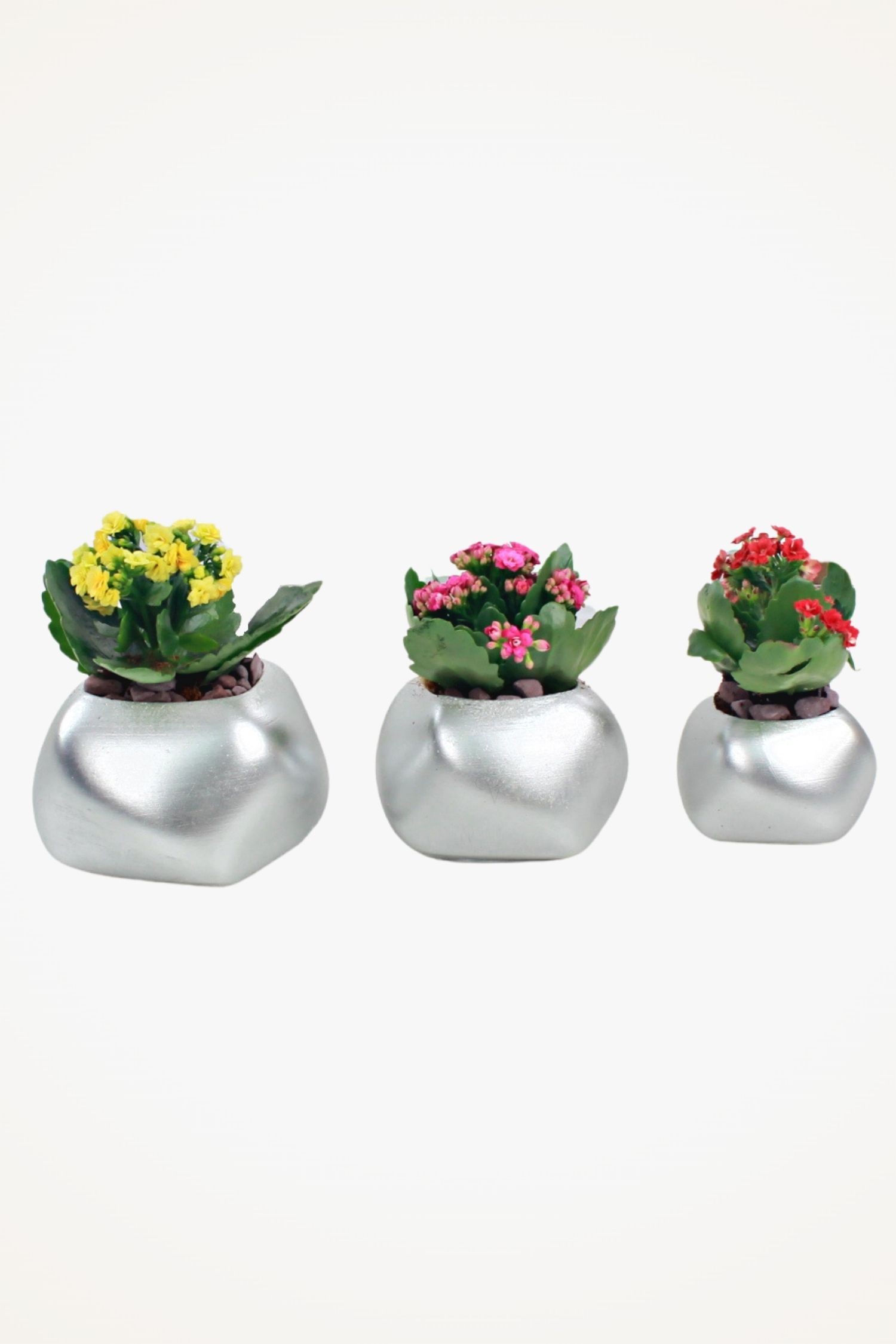 Viselia Büyük Dekoratif Saksı Gümüş Çiçek Saksısı 3 Adet 3 Boy Spiral Model