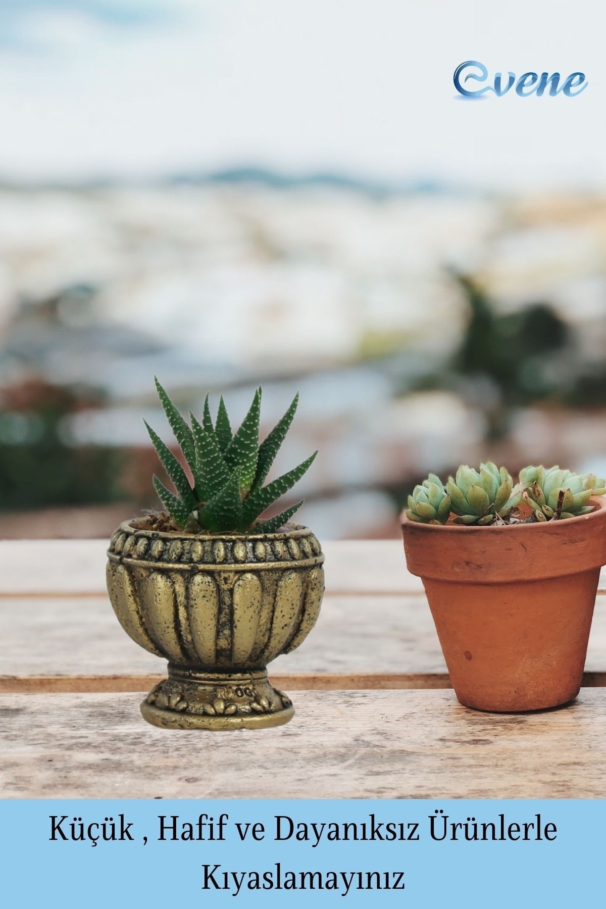 Mini Çiçek Saksı Küçük Sukulent Altın Eskitme Kaktüs Saksısı Antika Vazo Model