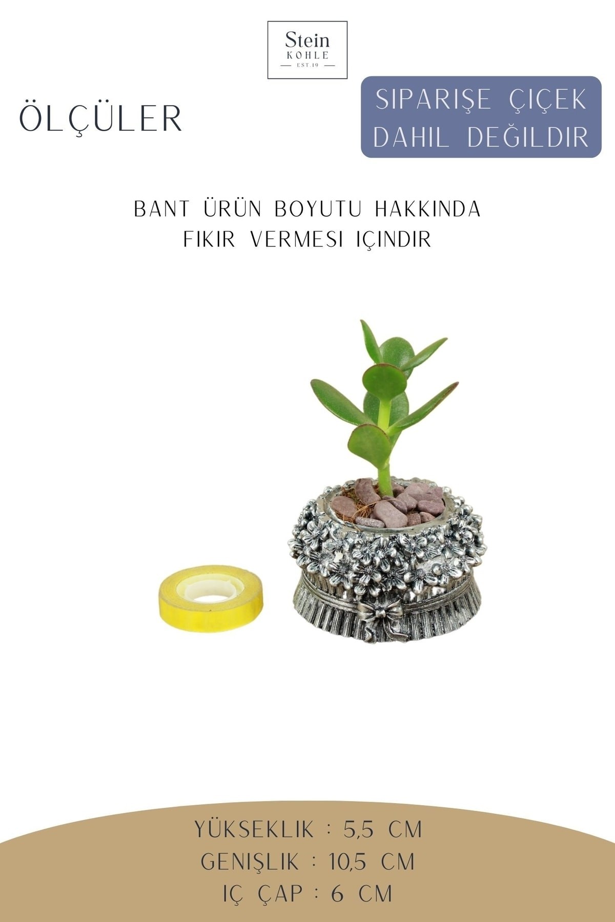 Dekoratif Saksı Minik Kaktüs Saksısı Gümüş Eskitme Renk 1 Adet Çiçekli Fiyonklu Model