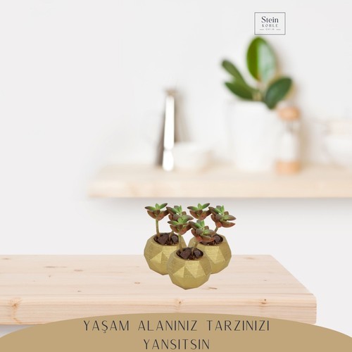 Stein Kohle Dekoratif Saksı Minik Kaktüs Saksısı Dönen Poly Model