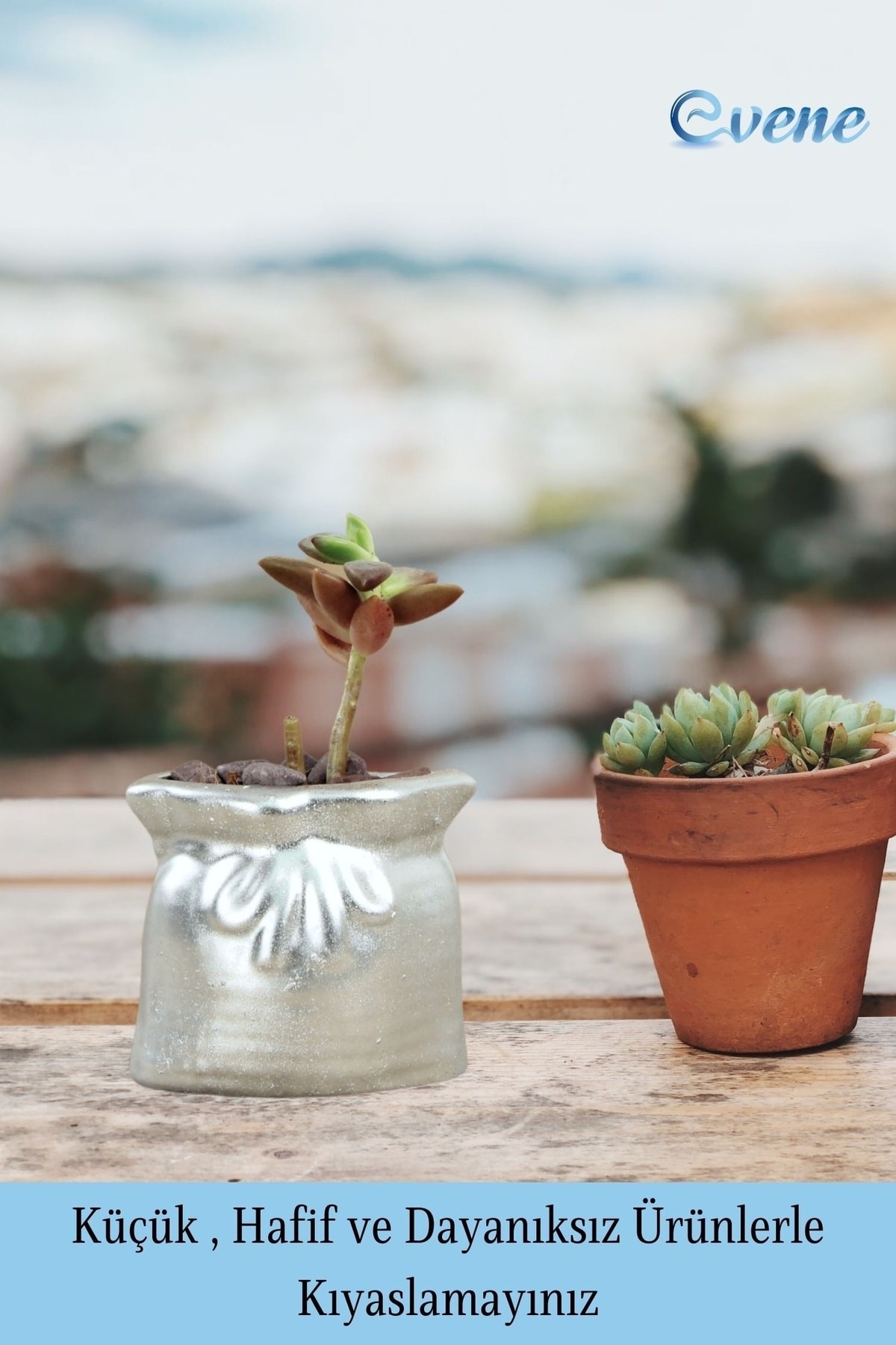 Mini Çiçek Saksı Küçük Sukulent Gümüş Kaktüs Saksısı 3'lü Set Kese Model