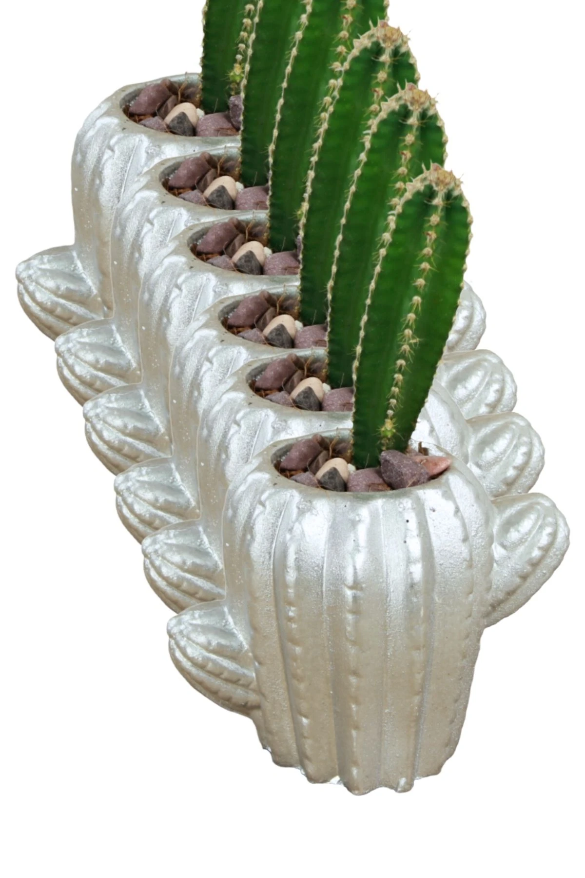 Gümüş thumbnail image