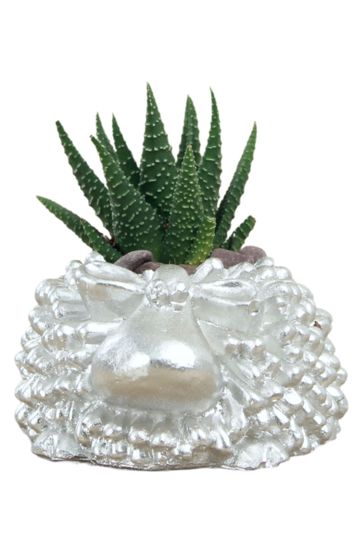 Gümüş thumbnail image