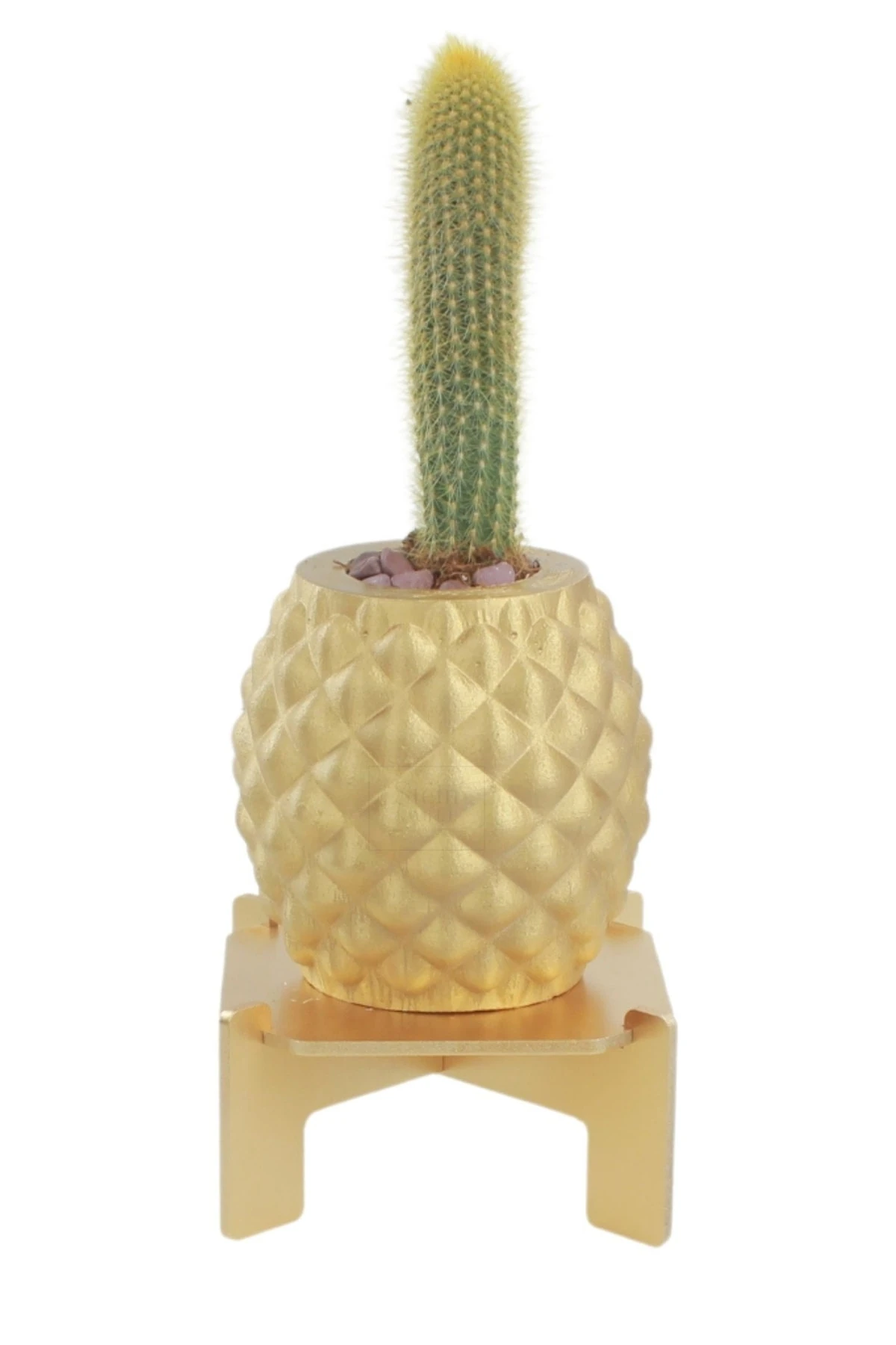 Ayaklı Saksı Ahşap Büyük Boy 1 Adet Altın Renk Uygulamalı Ananas Model