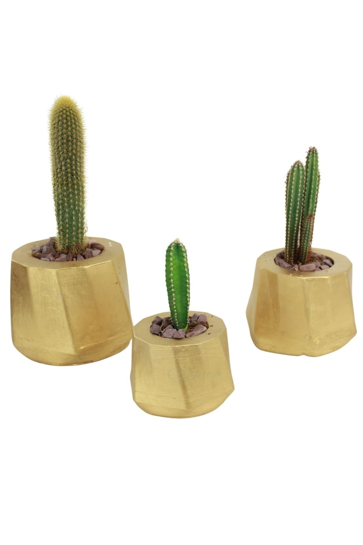Saksı Çiçek Kaktüs Saksısı Lüx 15 Cm Altın Varak Boyalı Kalın Çizgi Desenli 3'lü Set Çiçeklik