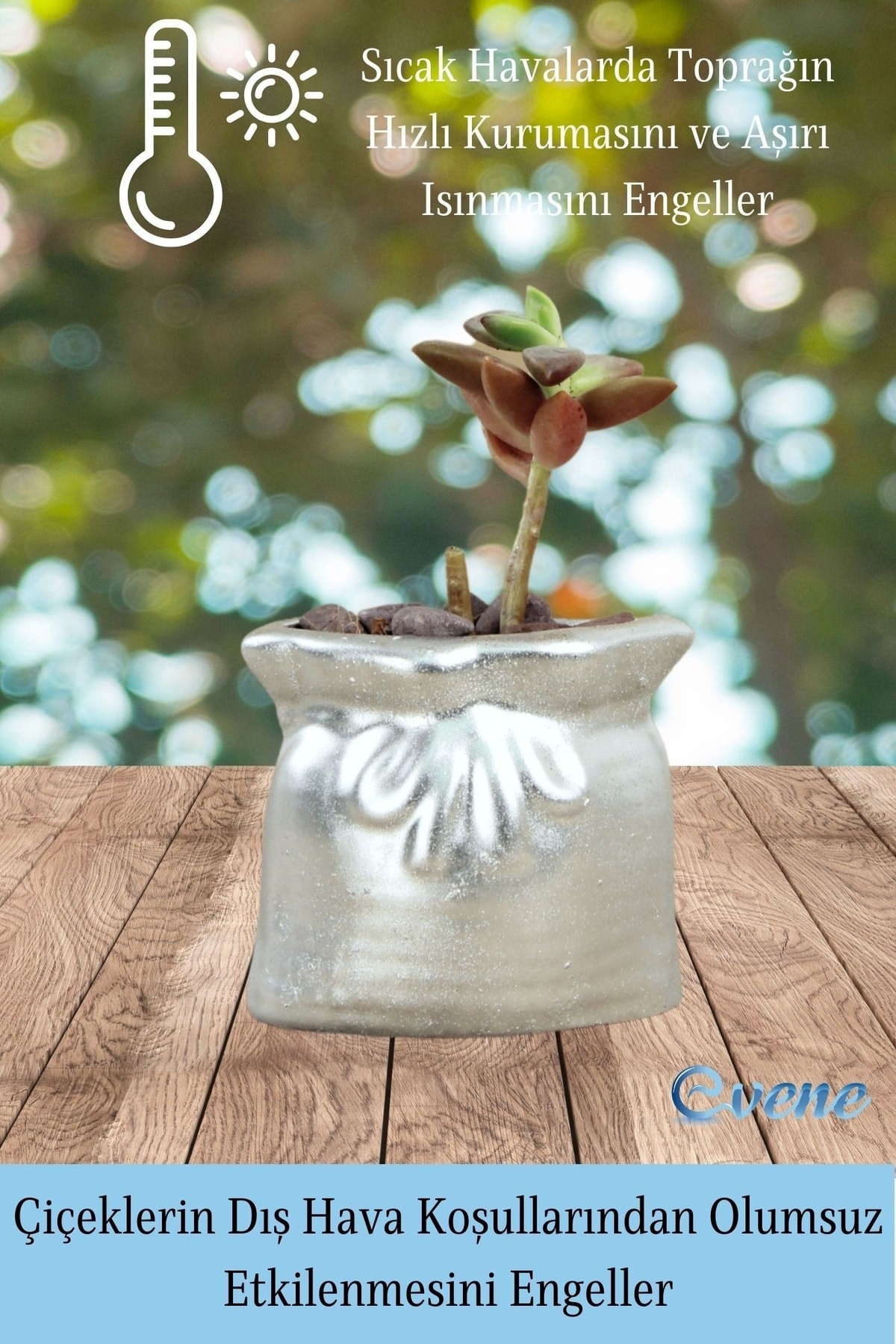 Mini Çiçek Saksı Küçük Sukulent Gümüş Kaktüs Saksısı 3'lü Set Kese Model