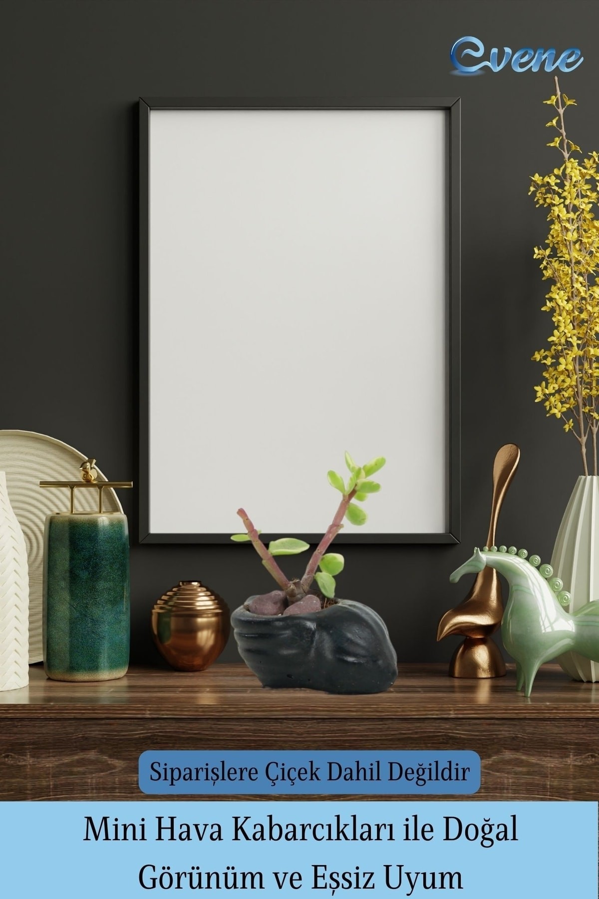 Mini Çiçek Saksı Küçük Sukulent Siyah Kaktüs Saksısı Mini Deniz Salyangozu Model
