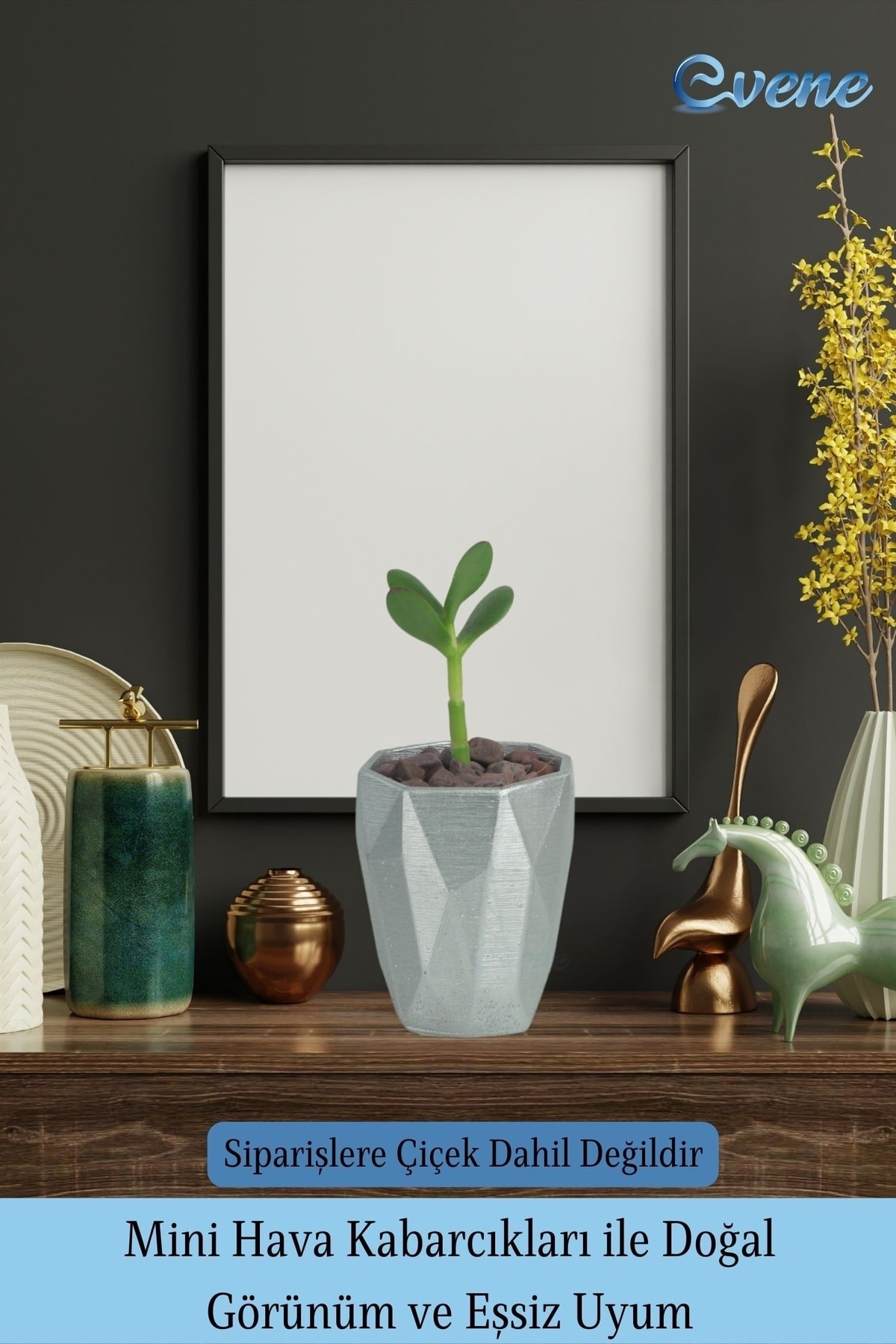 Saksı Kaktüs Saksısı Dekoratif Saksı Model 12