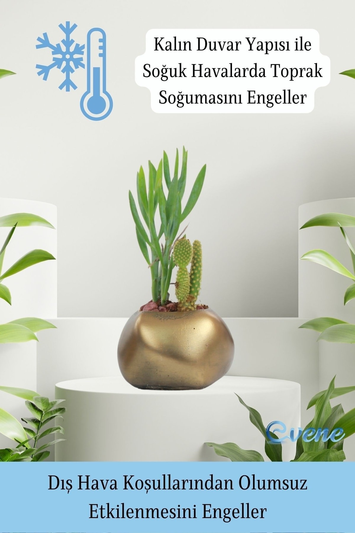 Saksı Çiçek Kaktüs Saksısı Lüx 14 Cm Altın Eskitme Varak Boyalı Elips Desen Saksı Çiçeklik