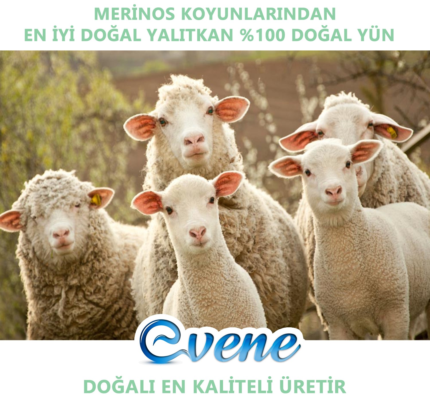 Tek Kişilik Yorgan Doğal Organik Yün Yorgan