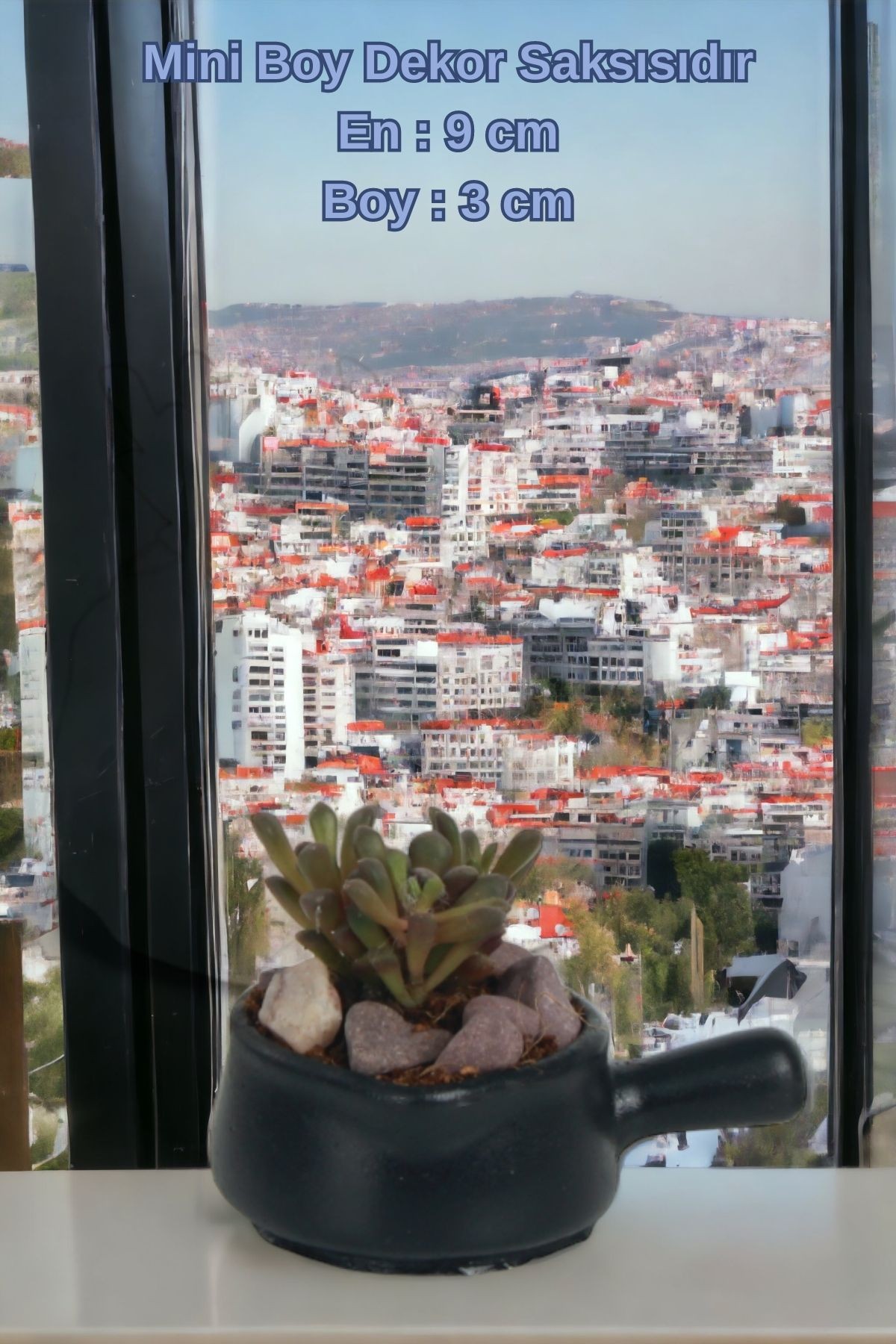 SİYAH thumbnail image