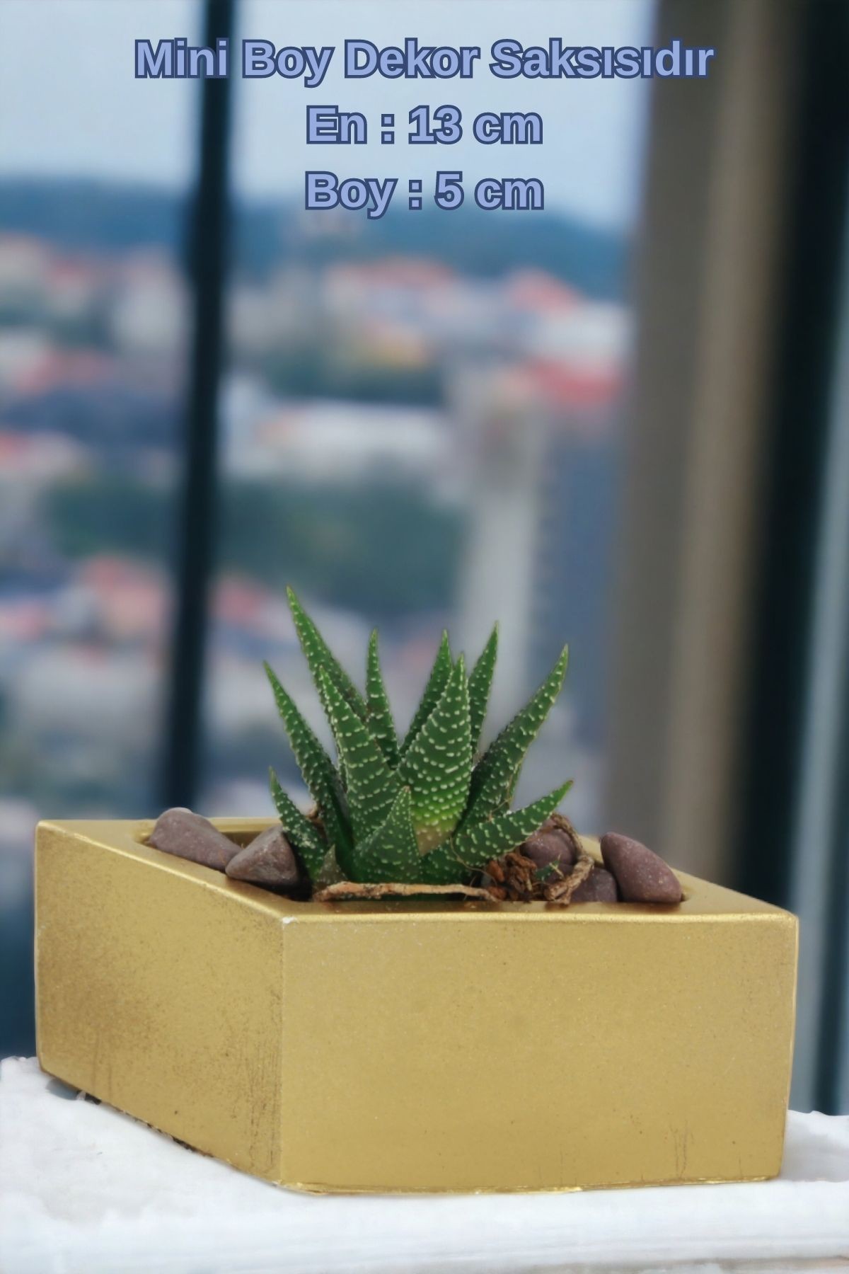 Altın thumbnail image