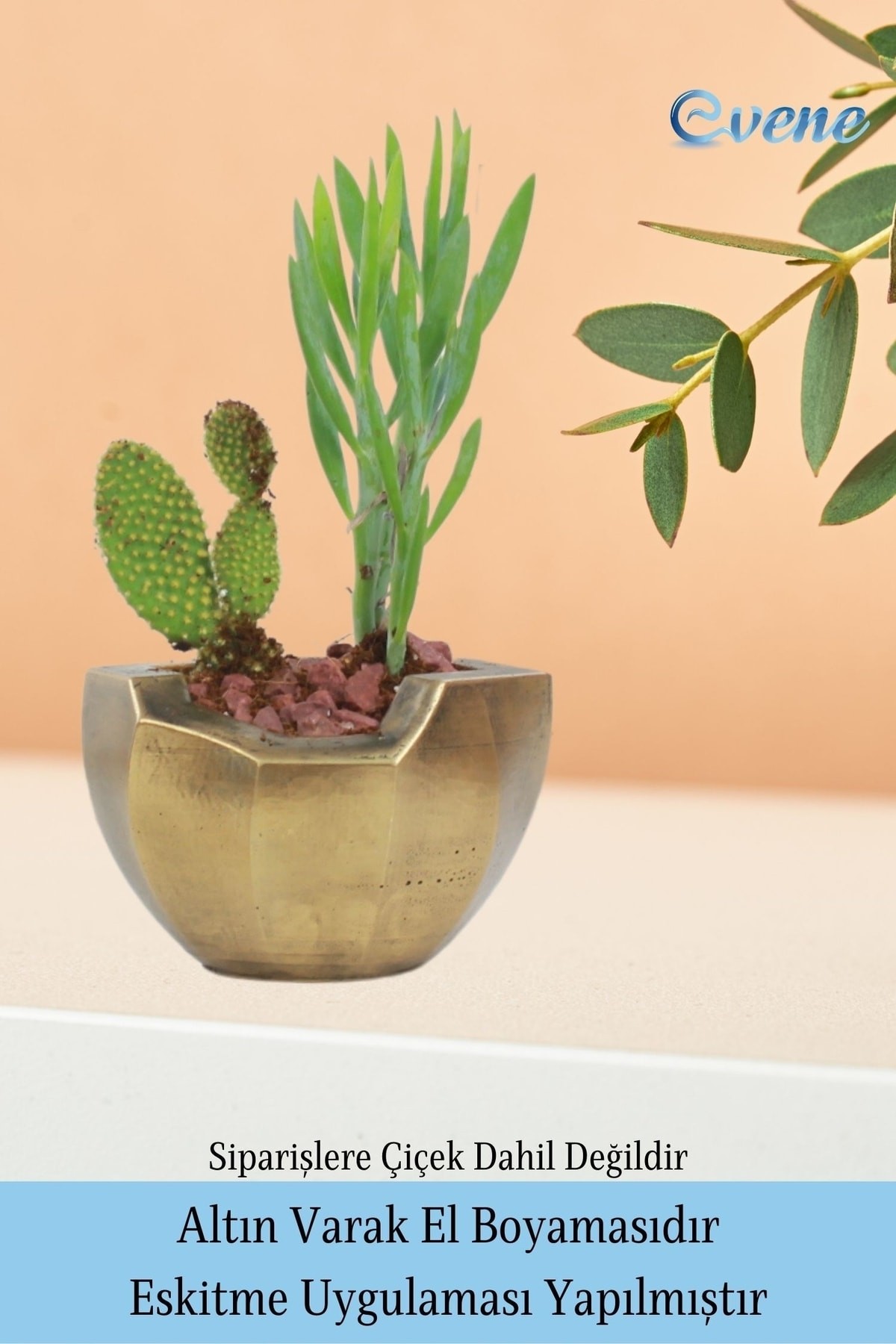 Saksı Çiçek Kaktüs Saksısı Lüx 11,5 Cm Gümüş Eskitme Varak Boyalı Önü Açık Desen Saksı Çiçeklik