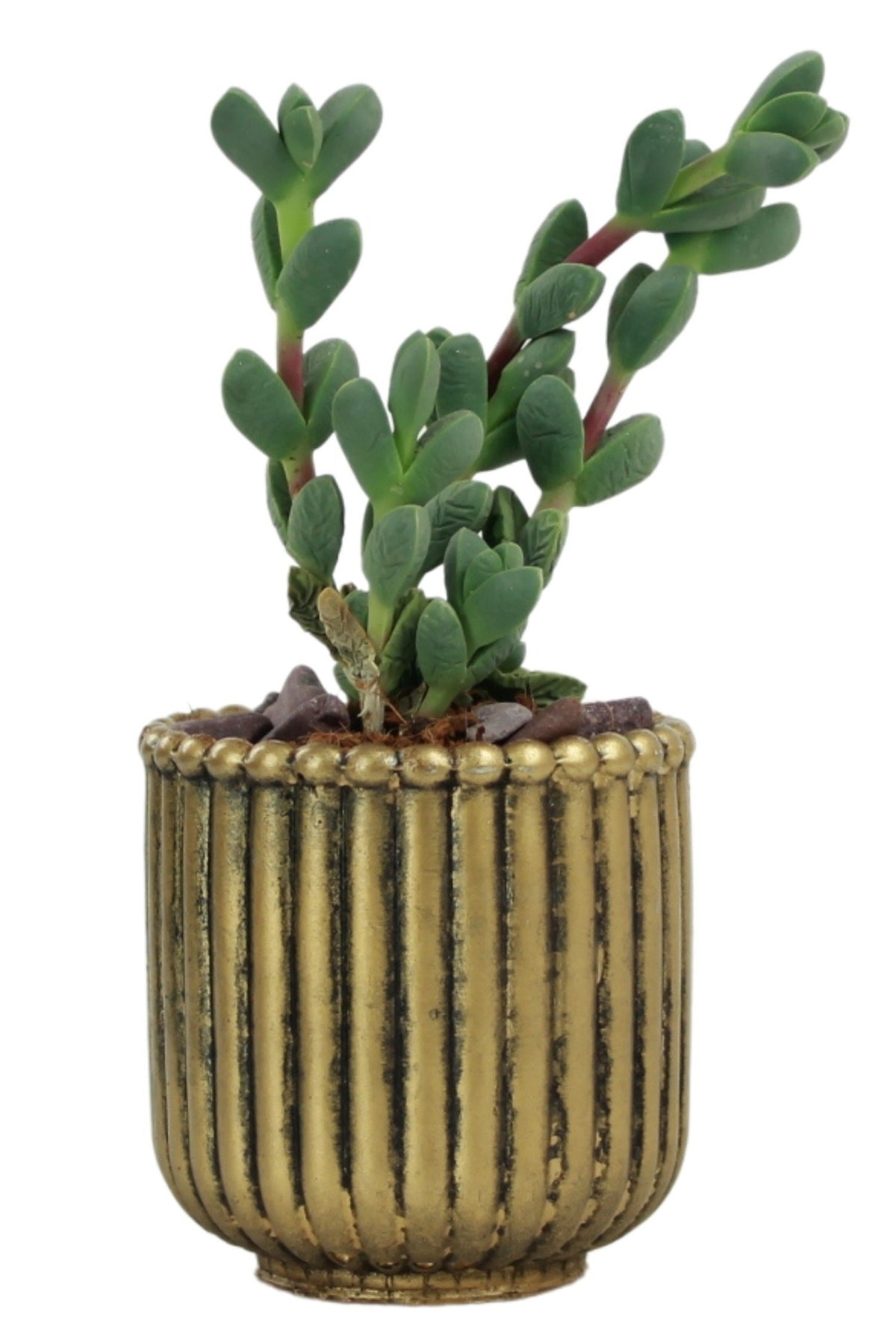 Mini Çiçek Saksı Küçük Sukulent Altın Eskitme Kaktüs Saksısı Vintage Düz Çizgili Model