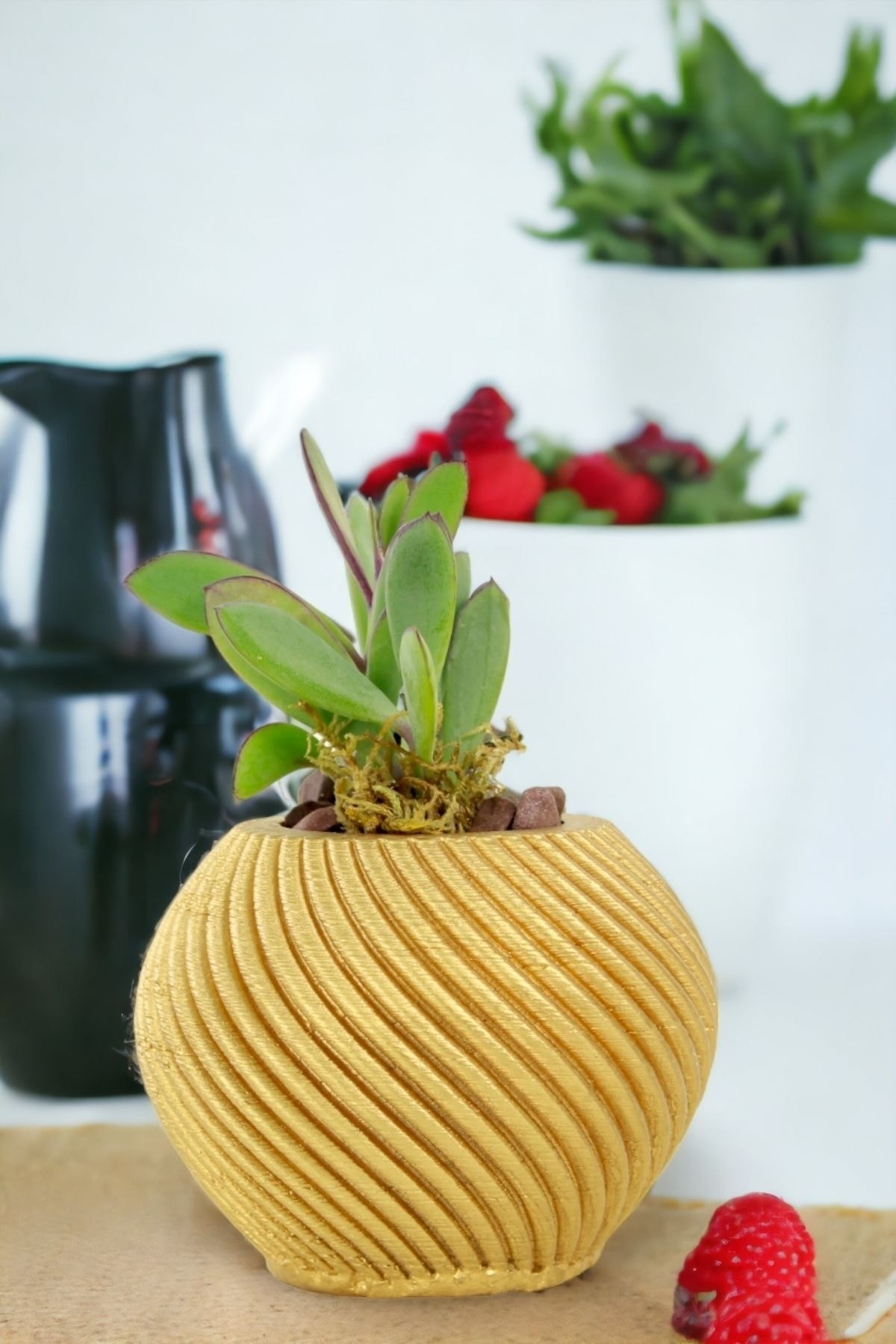 Premium Saksı Minyatür Dekoratif Kaktüs Sukulent Saksısı Model 1