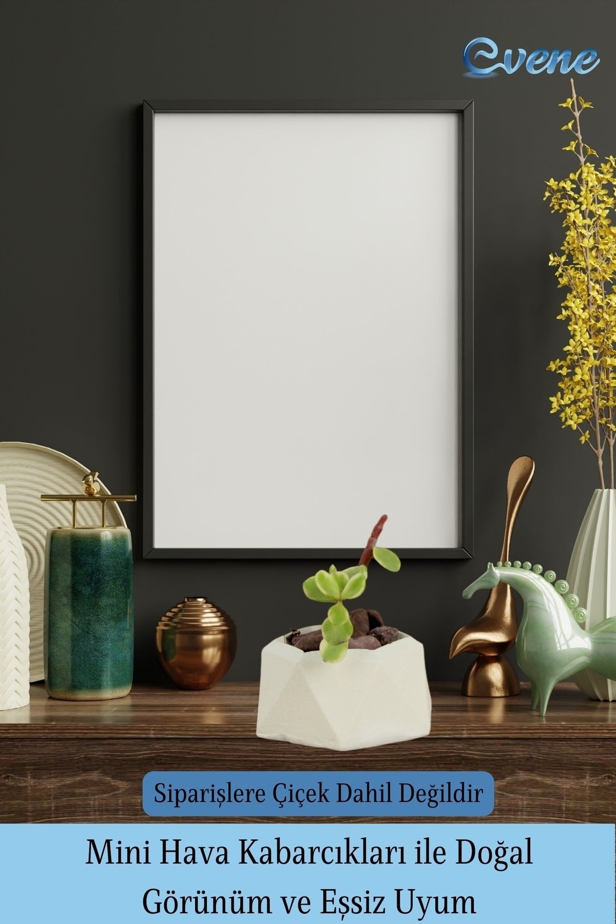 Mini Çiçek Saksı Küçük Sukulent Beyaz Kaktüs Saksısı 3'lü Set Mini Poly 2 Model
