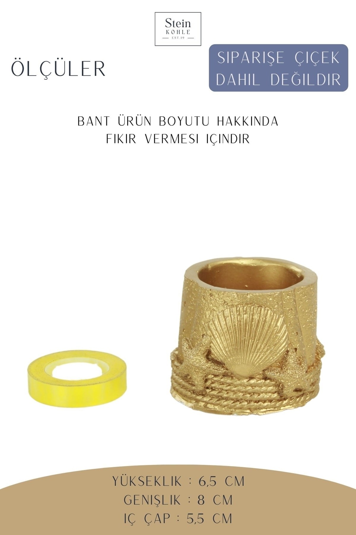 Dekoratif Saksı Minik Kaktüs Saksısı Gümüş Renk 1 Adet Deniz Ürünlü Model