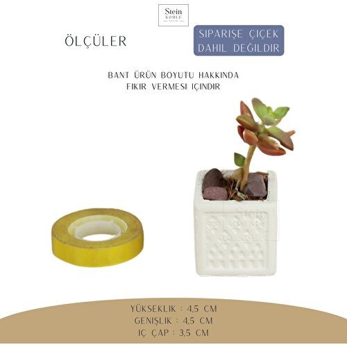 Stein Kohle Dekoratif Saksı Minik Kaktüs Saksısı Mini Kare Model