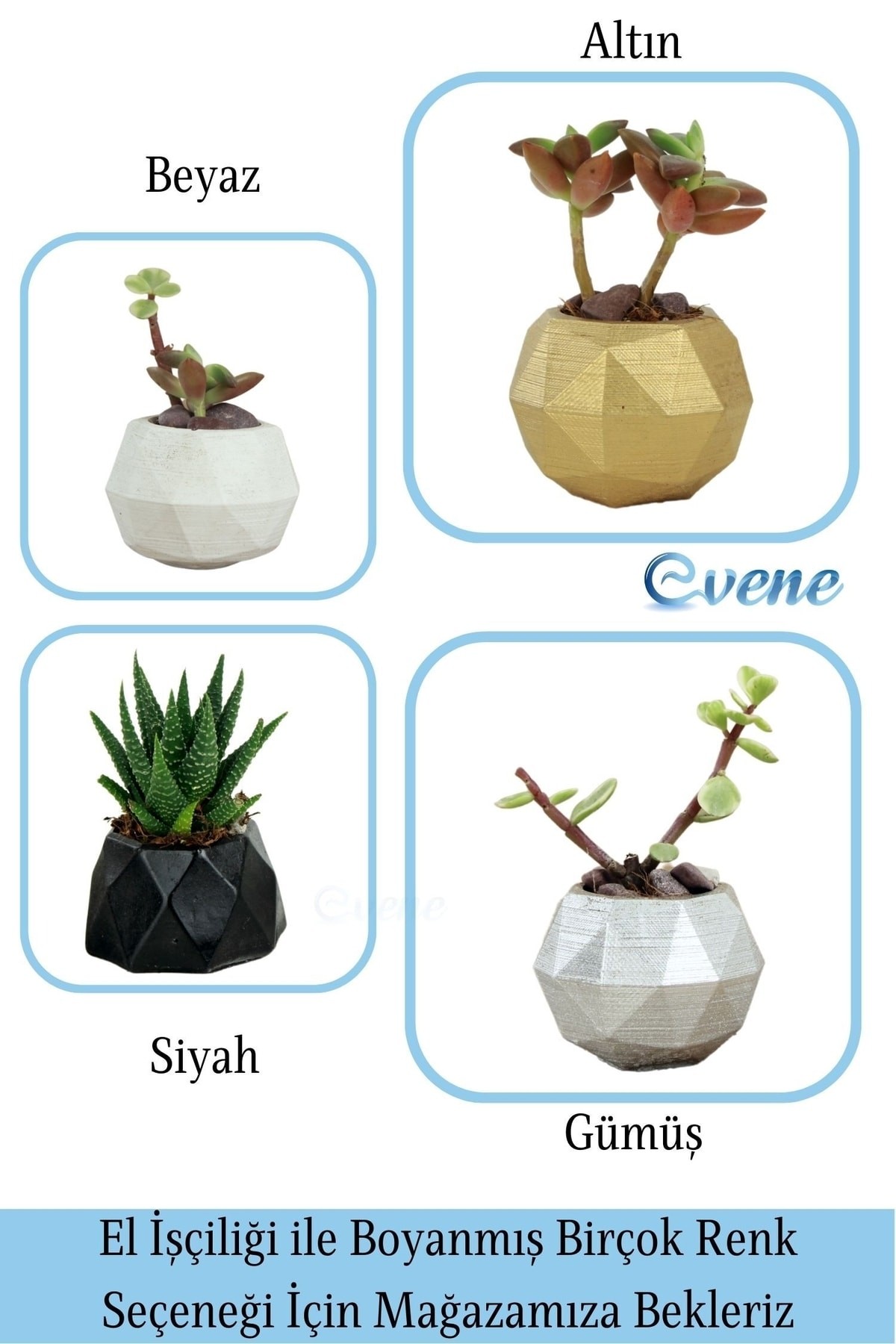 Gümüş thumbnail image