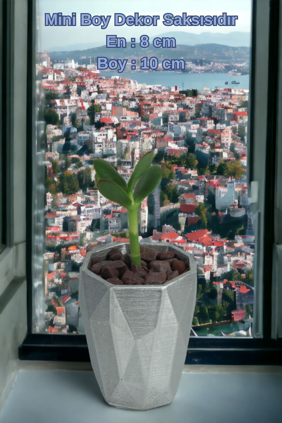 Gümüş thumbnail image