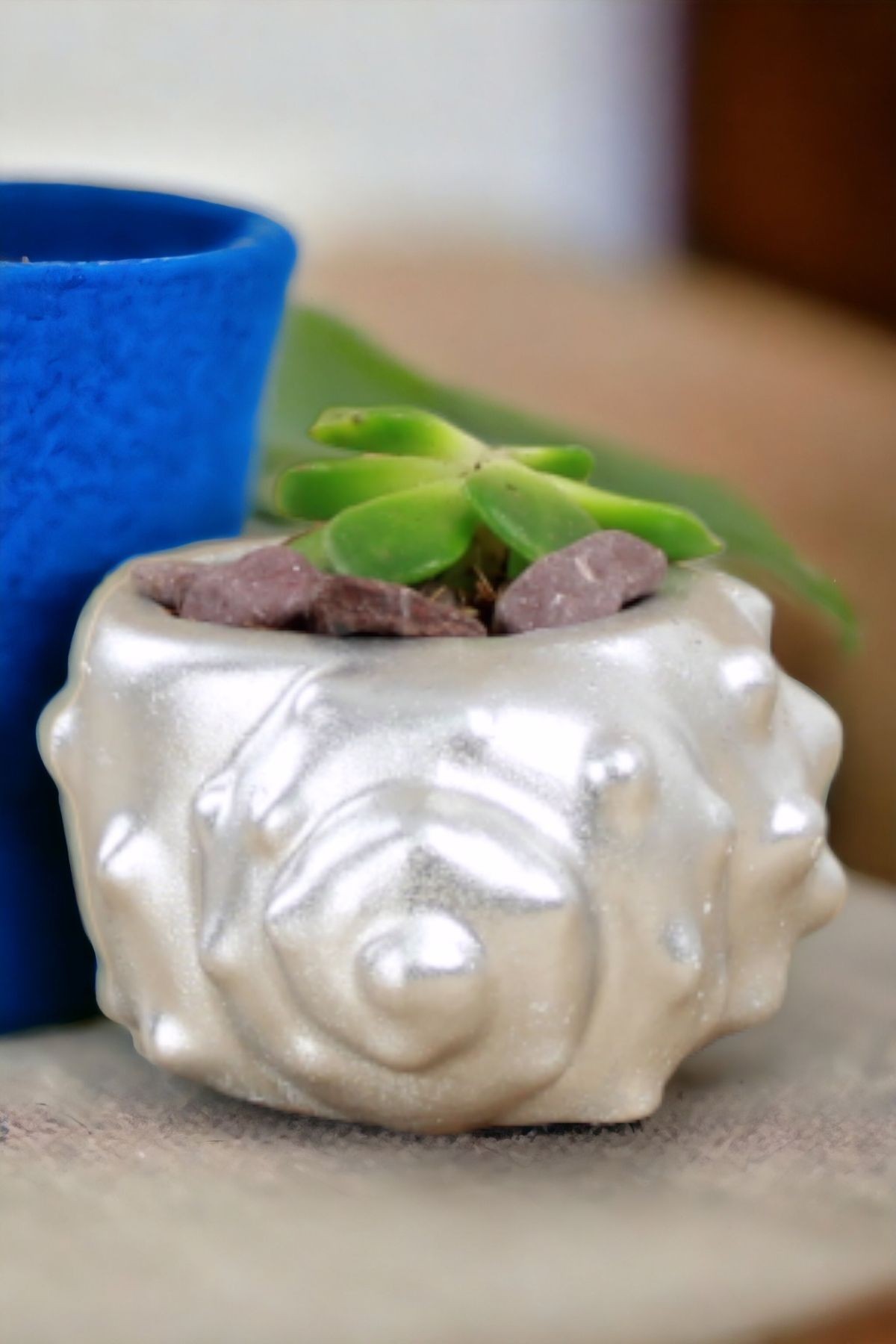 Gümüş thumbnail image
