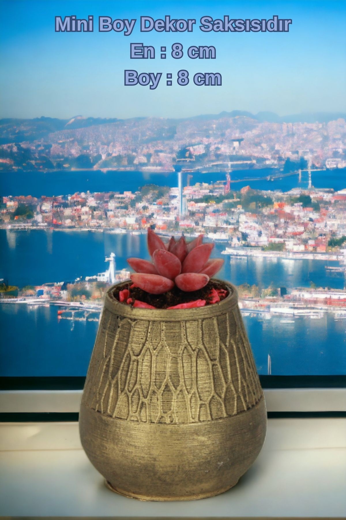 Siyah - Altın thumbnail image