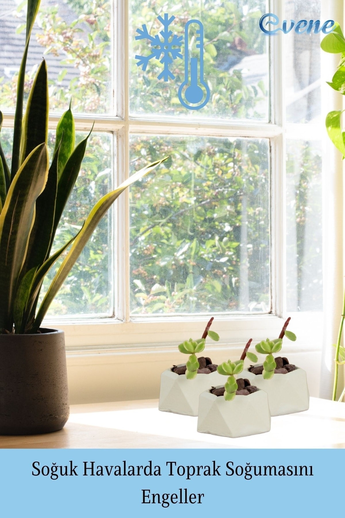 Mini Çiçek Saksı Küçük Sukulent Beyaz Kaktüs Saksısı 3'lü Set Mini Poly 2 Model