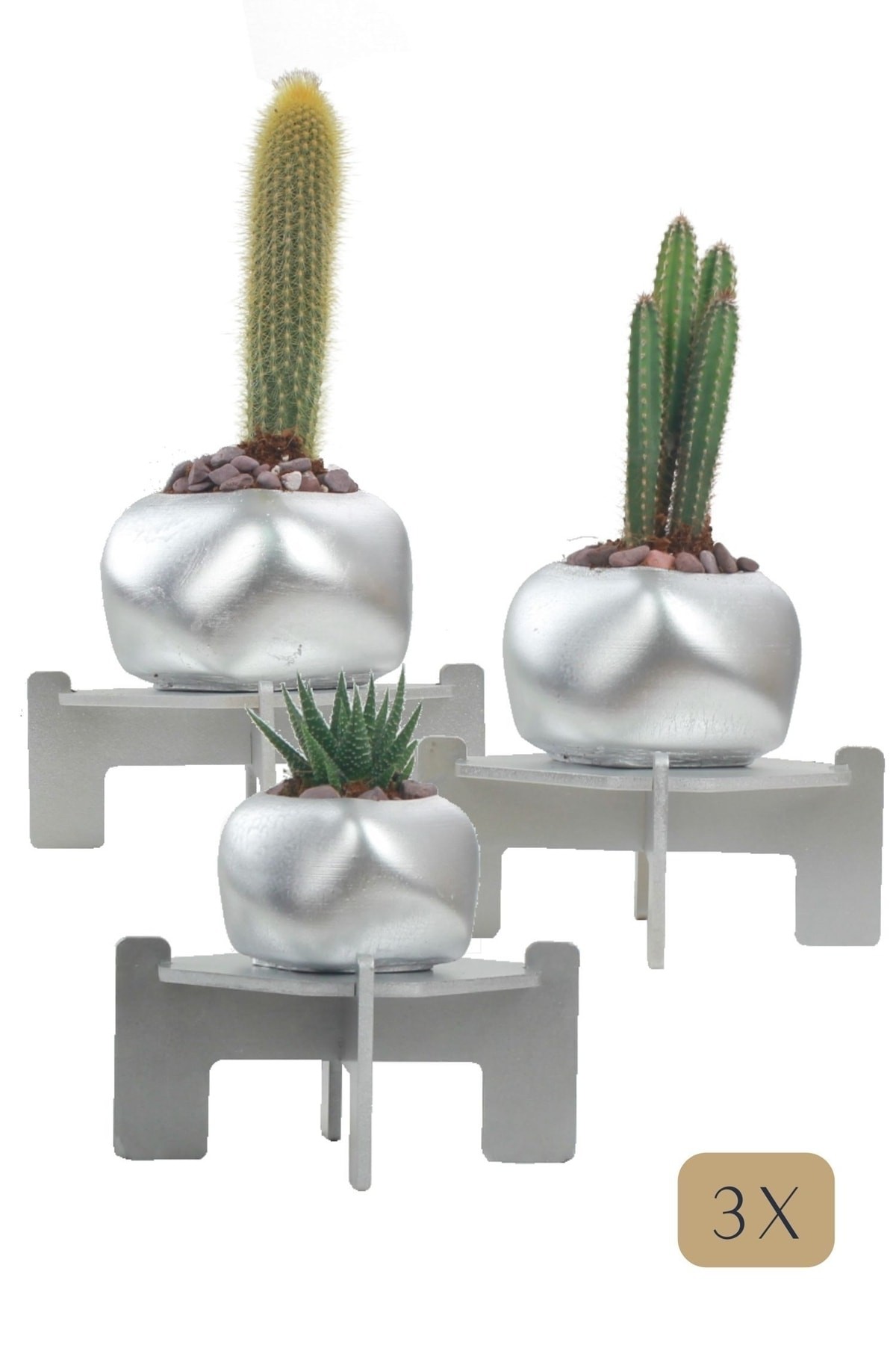 Gümüş thumbnail image