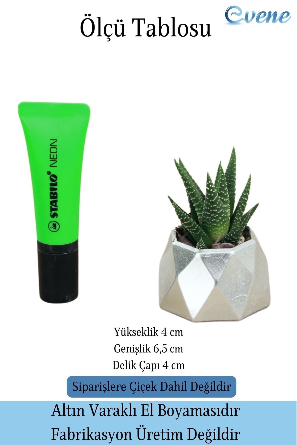 Mini Çiçek Saksı Küçük Sukulent Gümüş Kaktüs Saksısı Mini Poly 1 Model