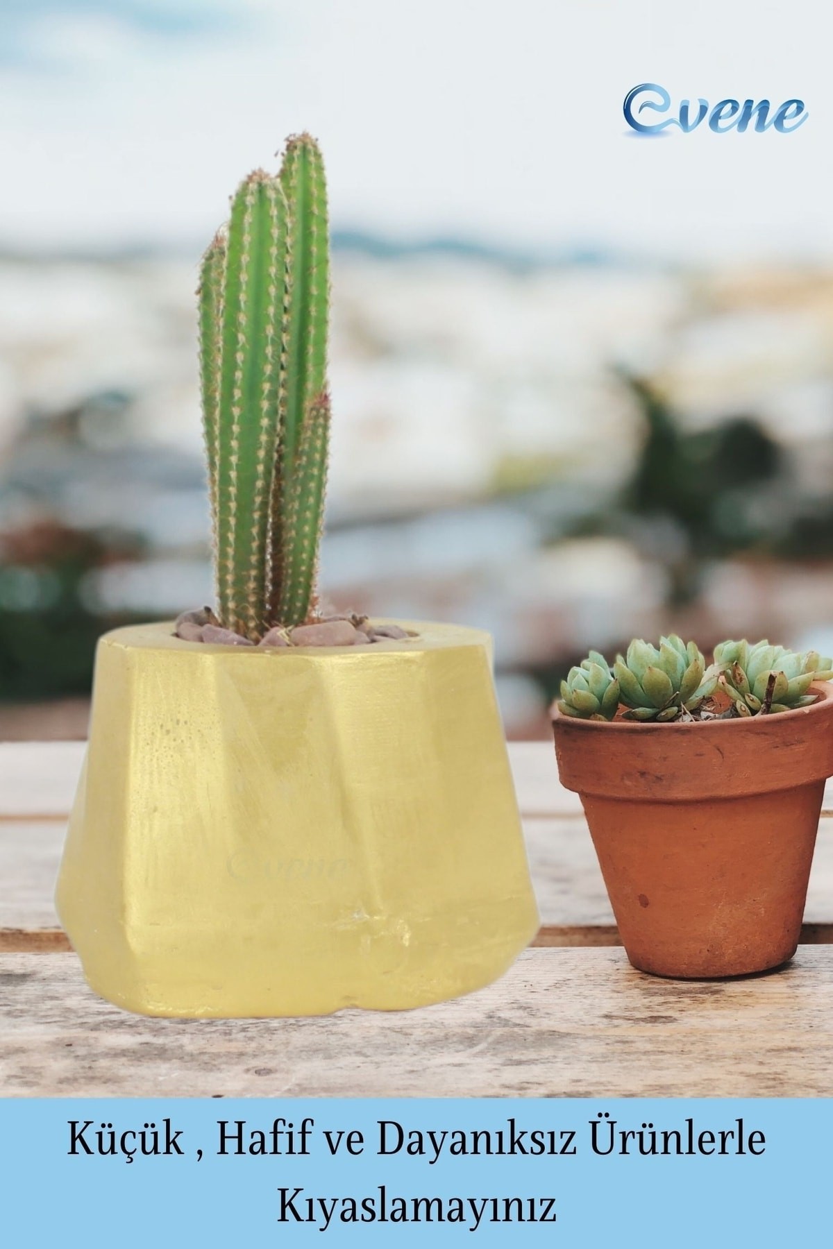 Saksı Çiçek Kaktüs Saksısı Lüx 15 Cm Altın Varak Boyalı Kalın Çizgili Desen Saksı Çiçeklik