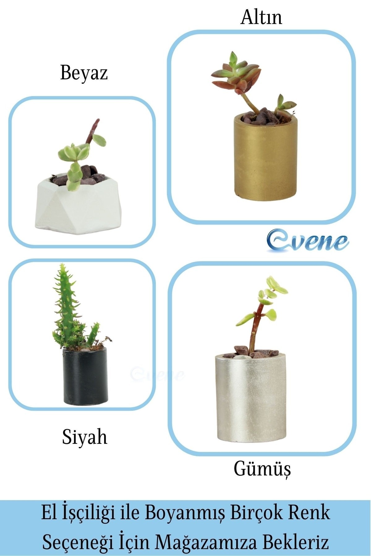Mini Çiçek Saksı Küçük Sukulent Siyah Kaktüs Saksısı Düz Yuvarlak Model