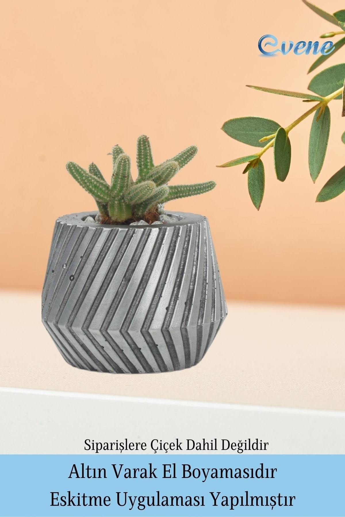 Saksı Çiçek Kaktüs Saksısı Lüx 15 Cm Gümüş Eskitme Varak Boyalı Dişli Desen Saksı Çiçeklik