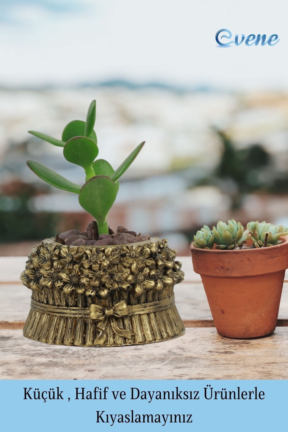 Mini Çiçek Saksı Küçük Sukulent Altın Eskitme Kaktüs Saksısı 3'lü Set Çiçekli Fiyonklu Model