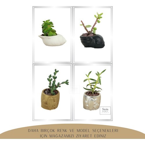 Stein Kohle Dekoratif Saksı Minik Kaktüs Saksısı Kaktüs Desenli Model