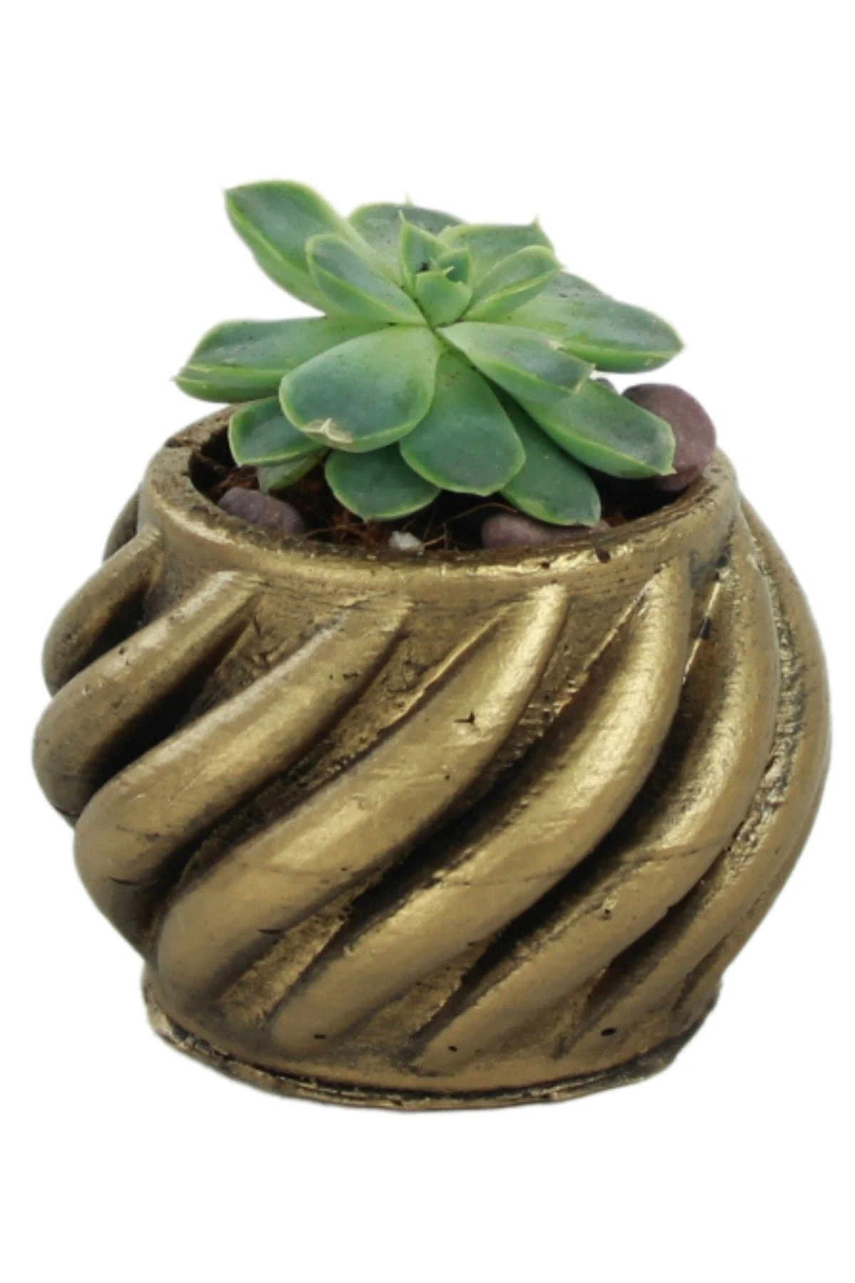 ALTIN ESKİTME thumbnail image