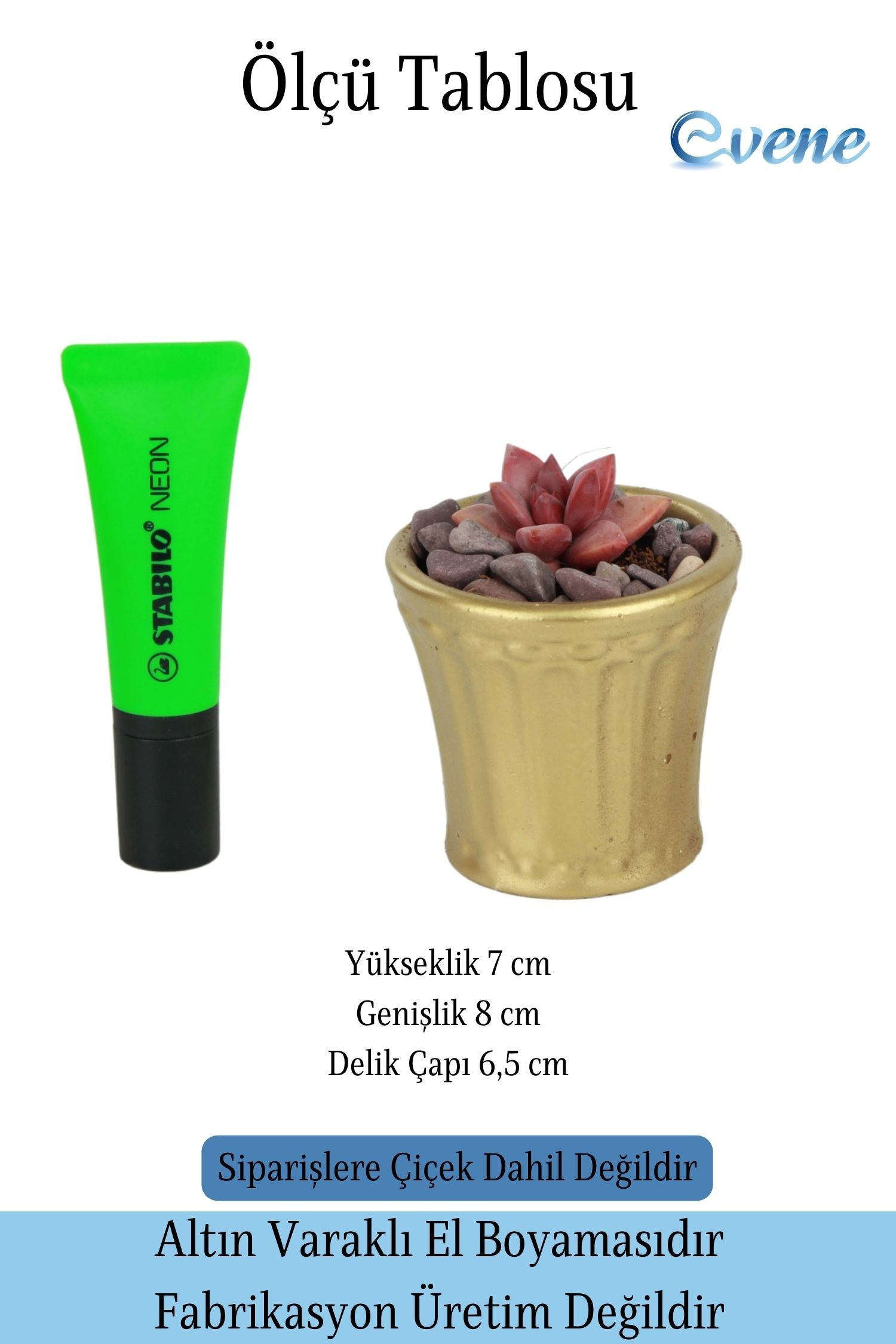 Saksı Kaktüs Saksısı Dekoratif Saksı Model 8