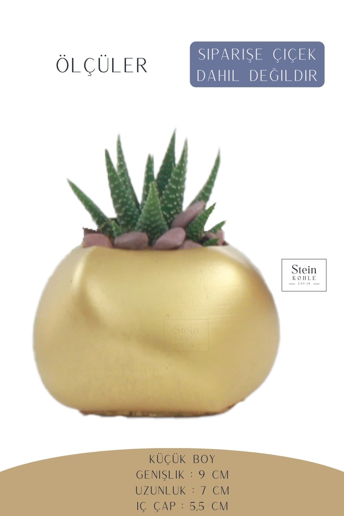 Altın thumbnail image