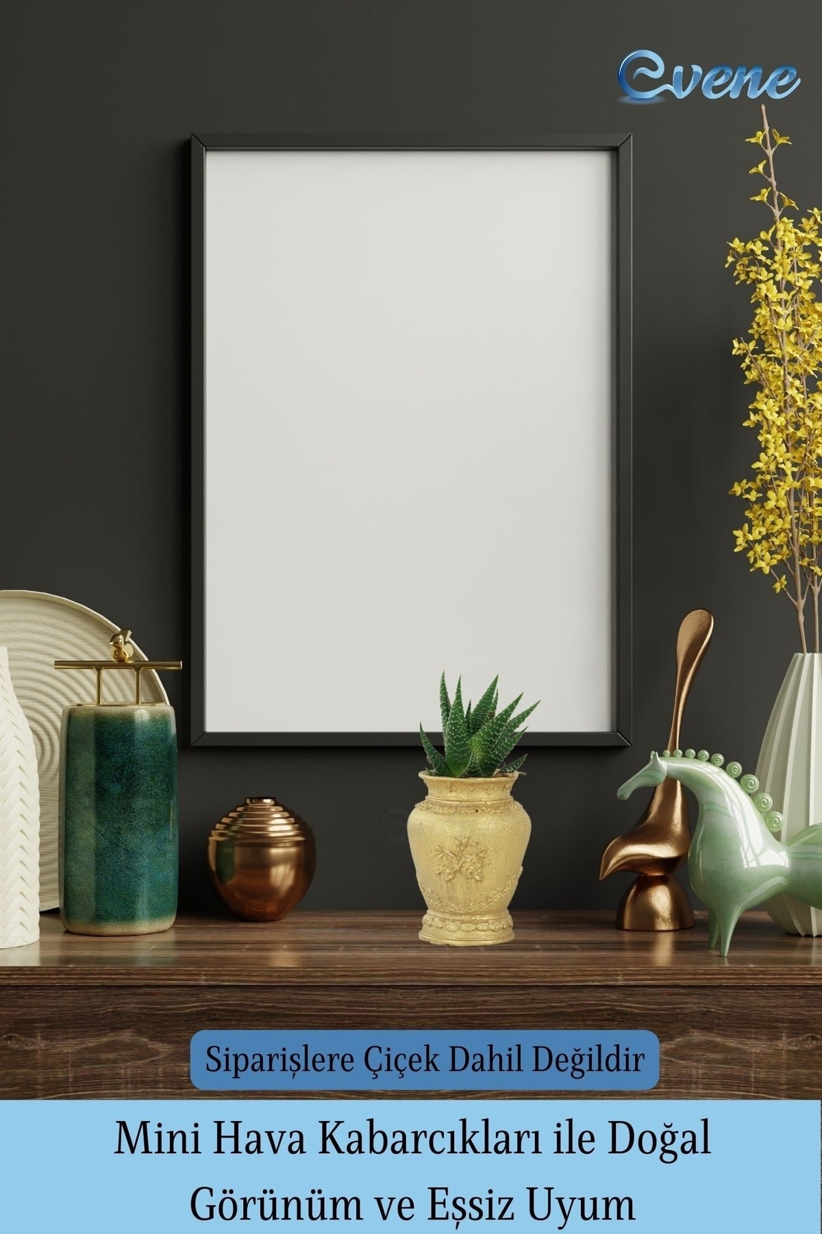 Mini Çiçek Saksı Küçük Sukulent Siyah Kaktüs Saksısı 3'lü Set Mini Desenli Vazo Saksı Model