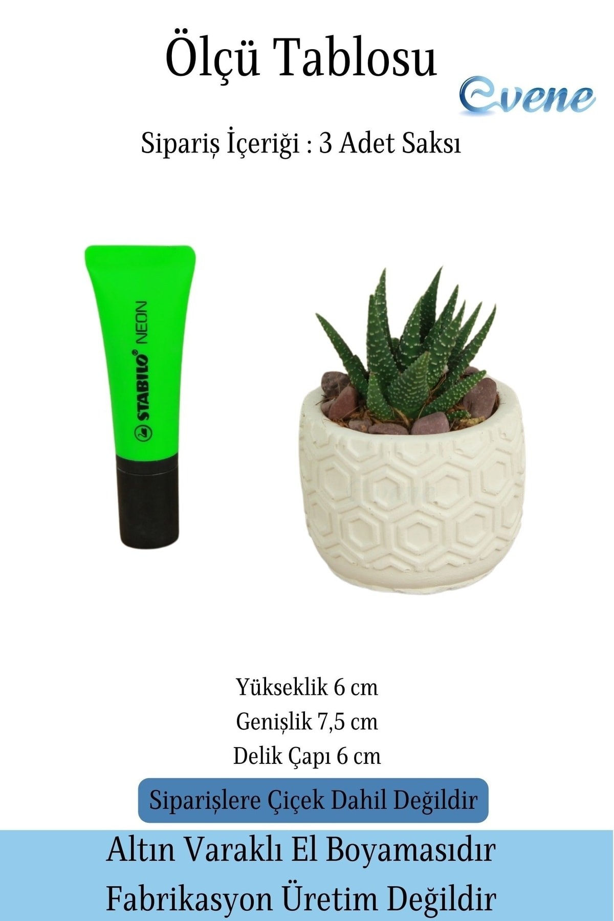 Mini Çiçek Saksı Küçük Sukulent Beyaz Kaktüs Saksısı 3'lü Set Altıgen Model