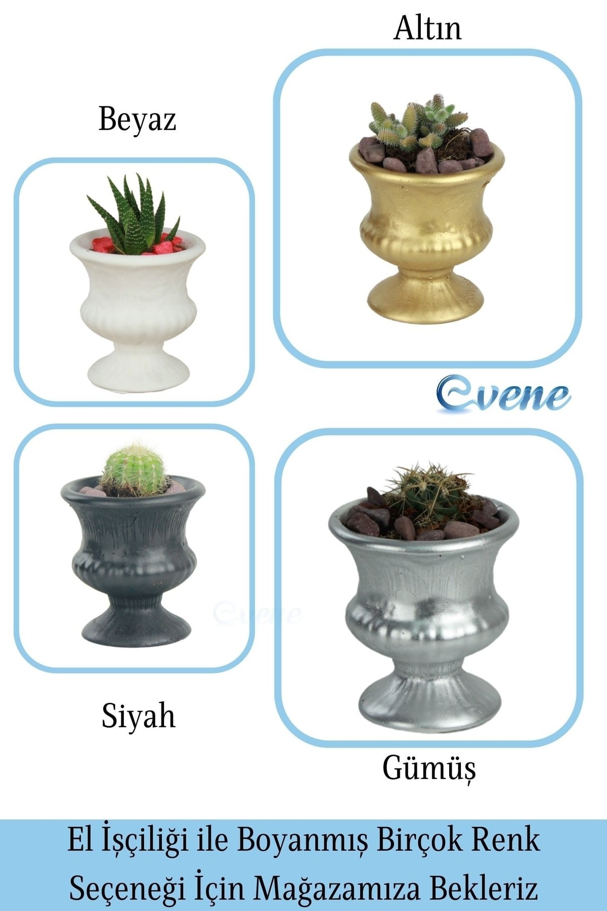 Kaktüs Saksısı Dekoratif Saksı Model 14