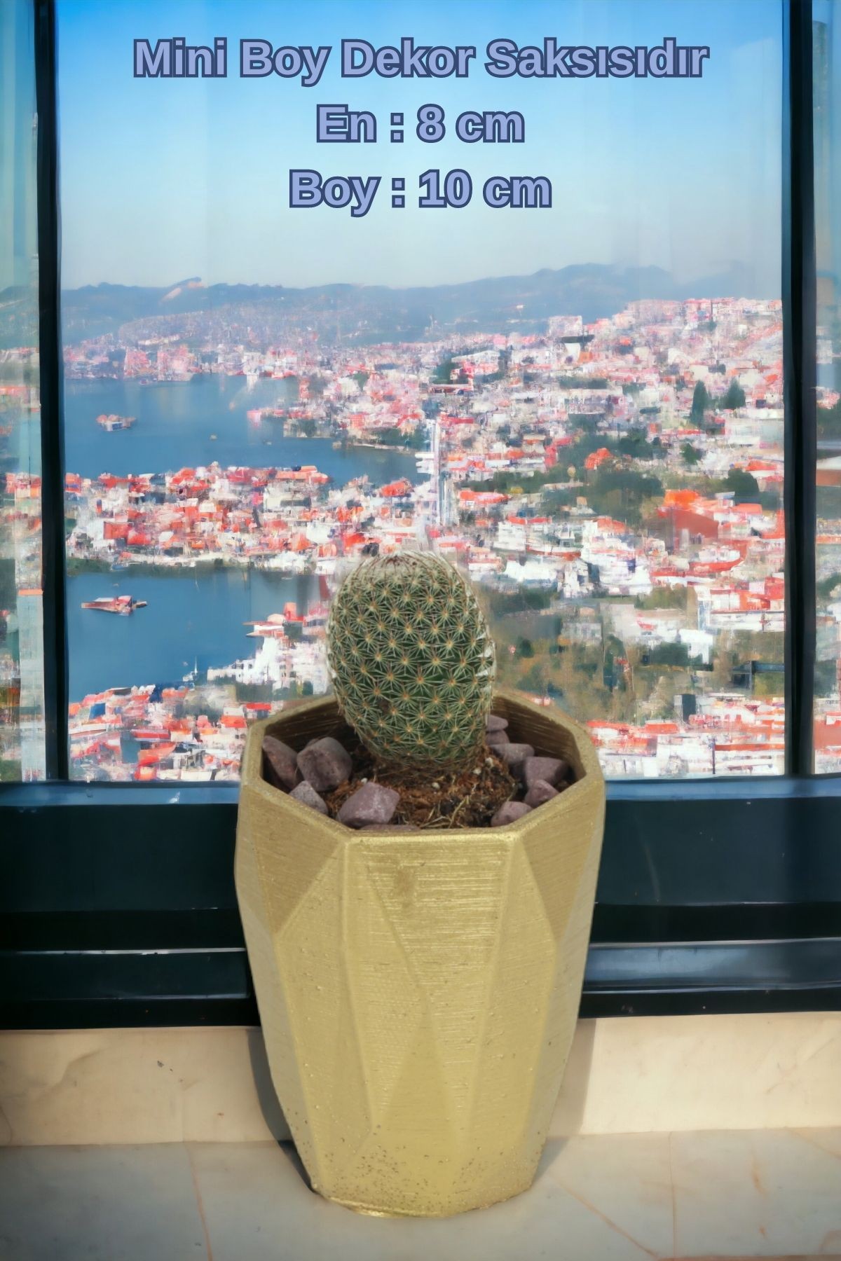 Altın thumbnail image