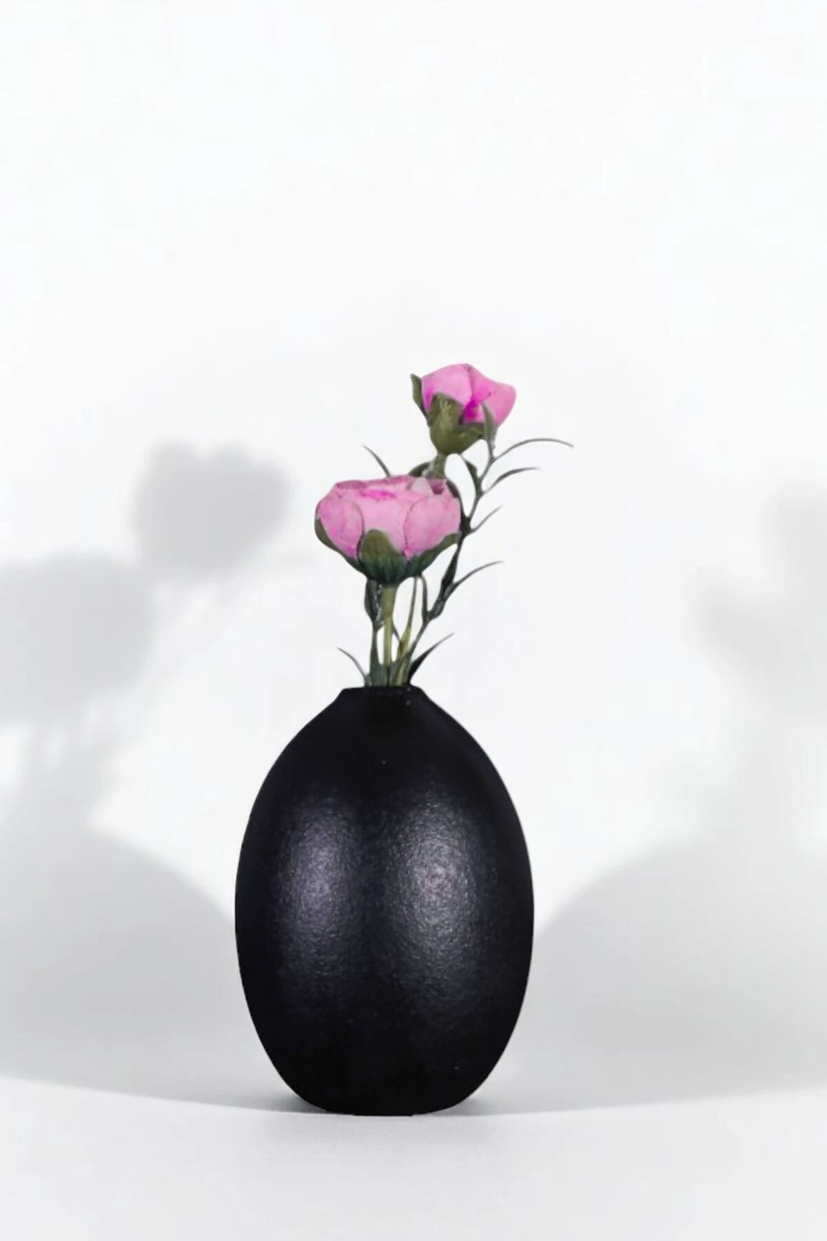 SİYAH thumbnail image