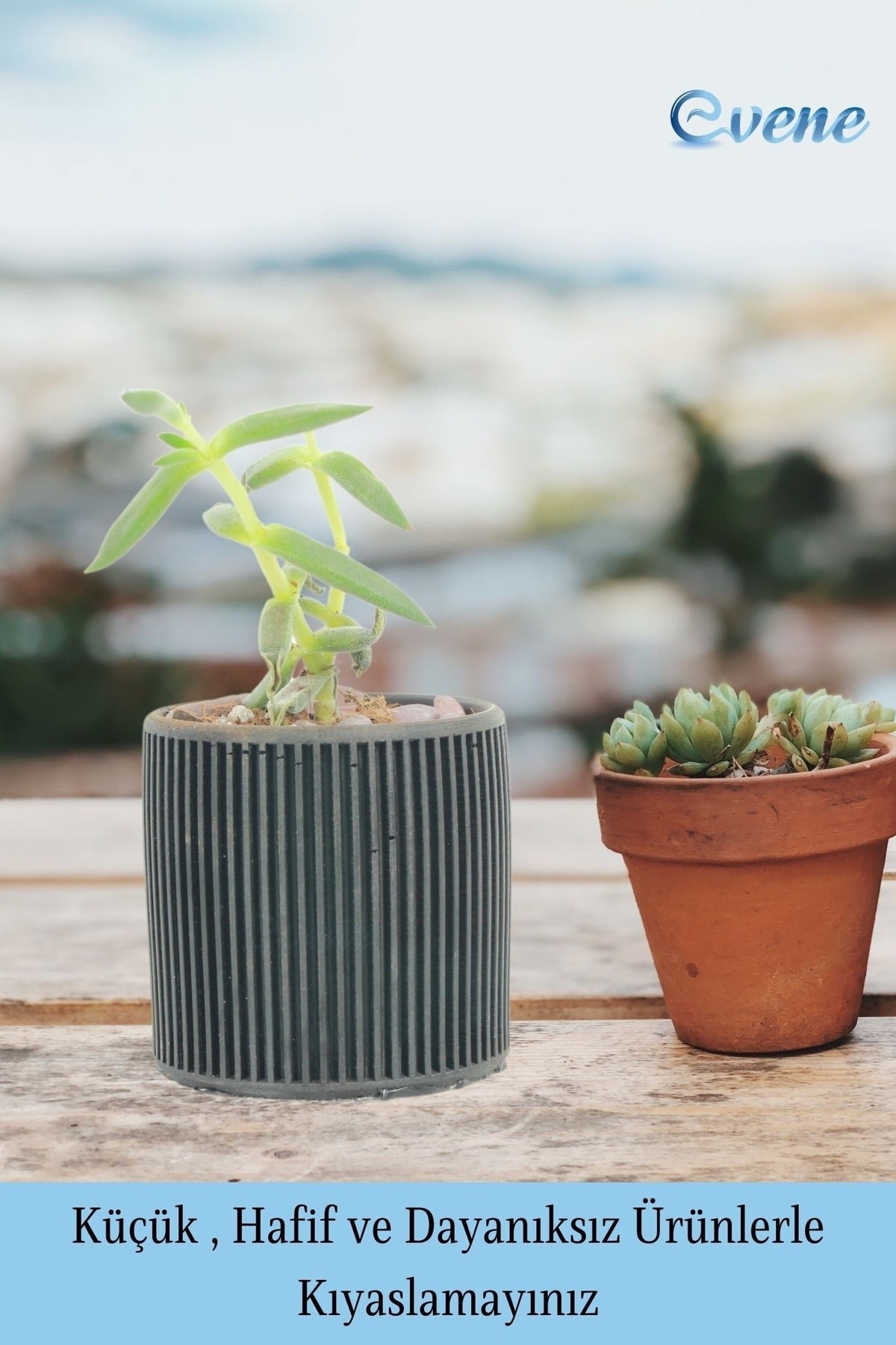 Mini Çiçek Saksı Küçük Sukulent Siyah Kaktüs Saksısı Düz Ince Çizgili Model