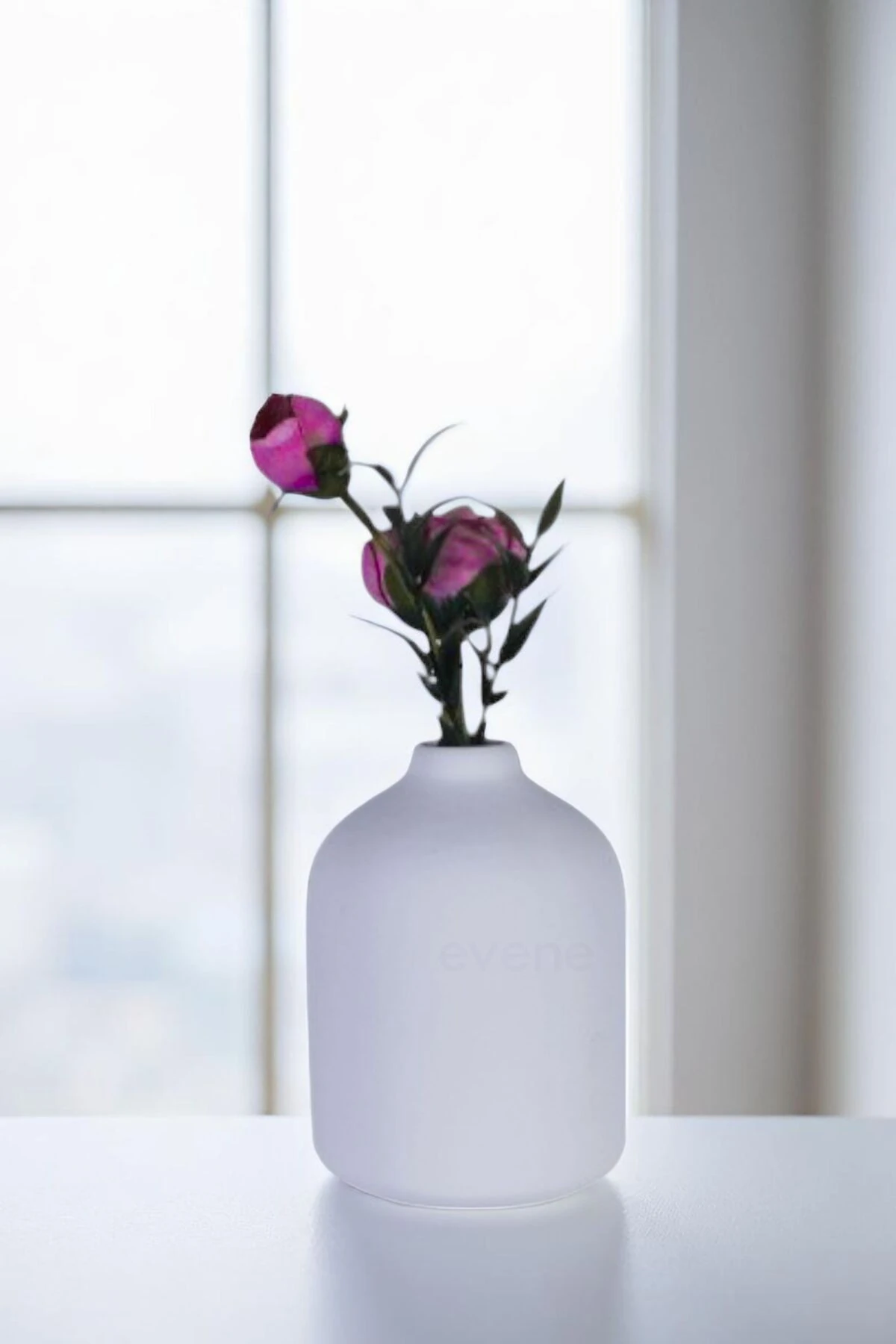 Beyaz thumbnail image