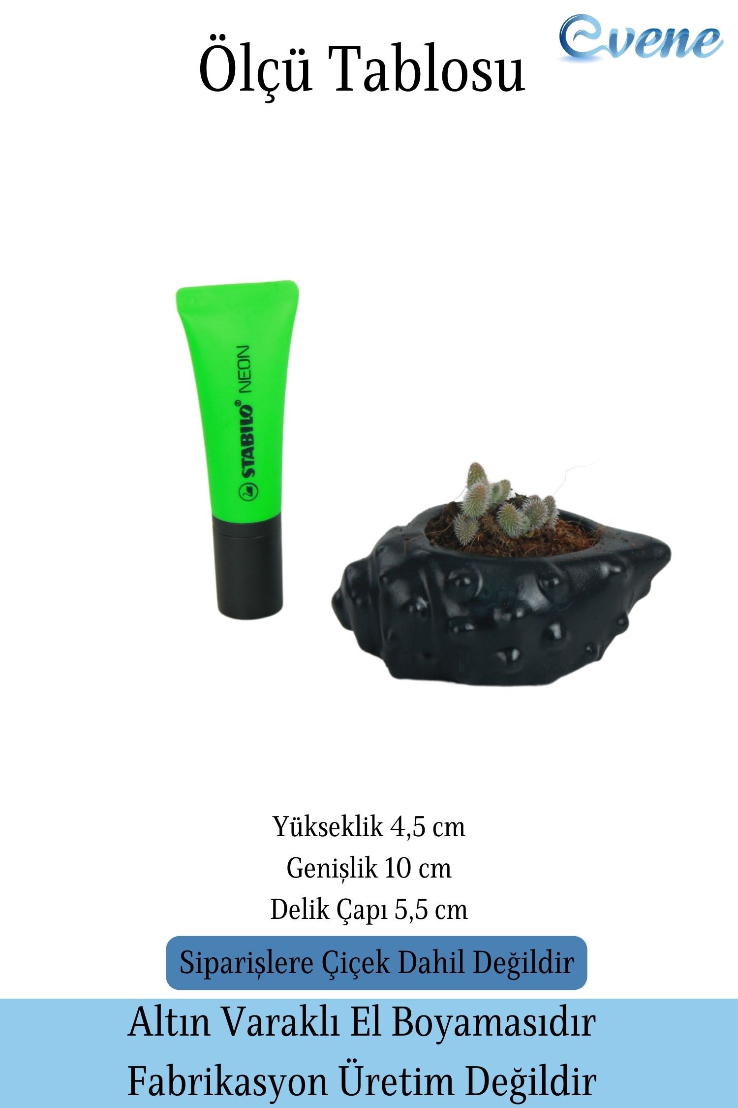 Mini Çiçek Saksısı Küçük Sukulent Siyah Kaktüs Saksı Deniz Kabuğu Model