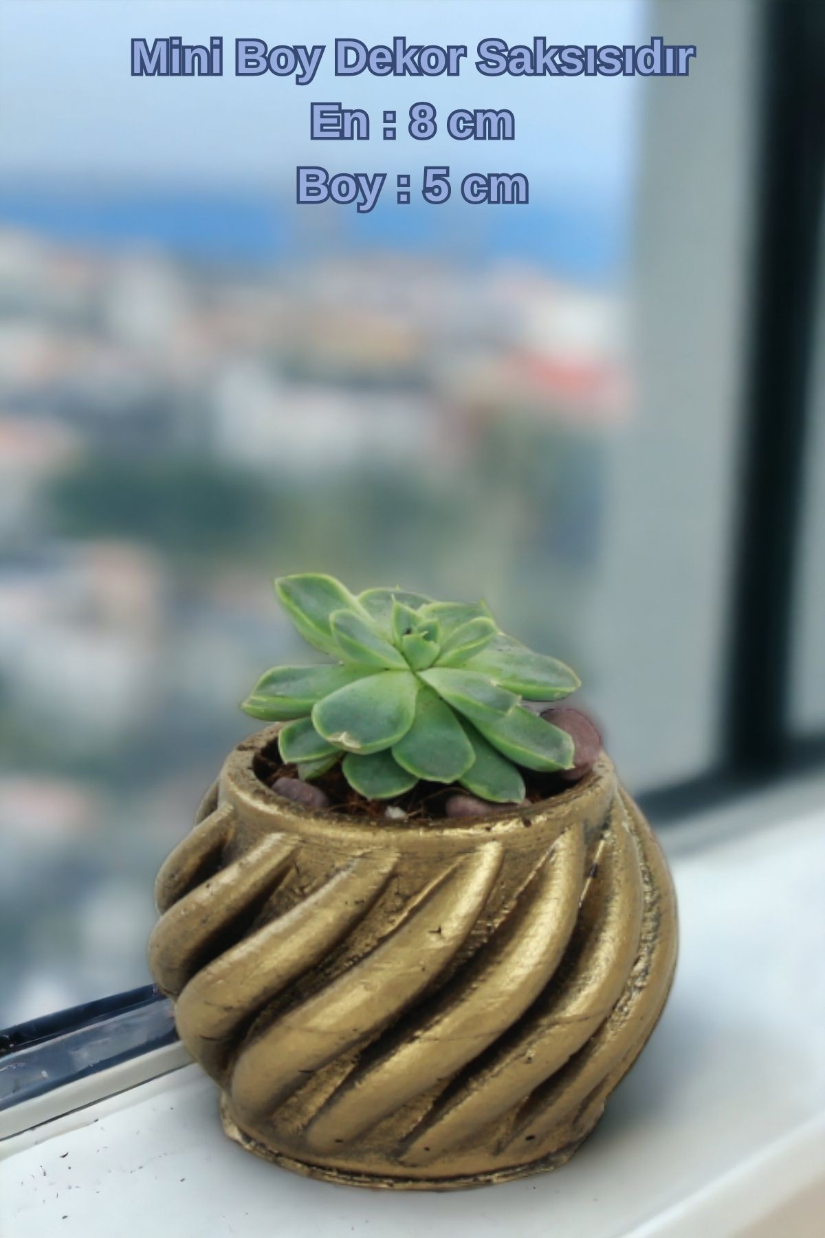 Siyah - Altın thumbnail image