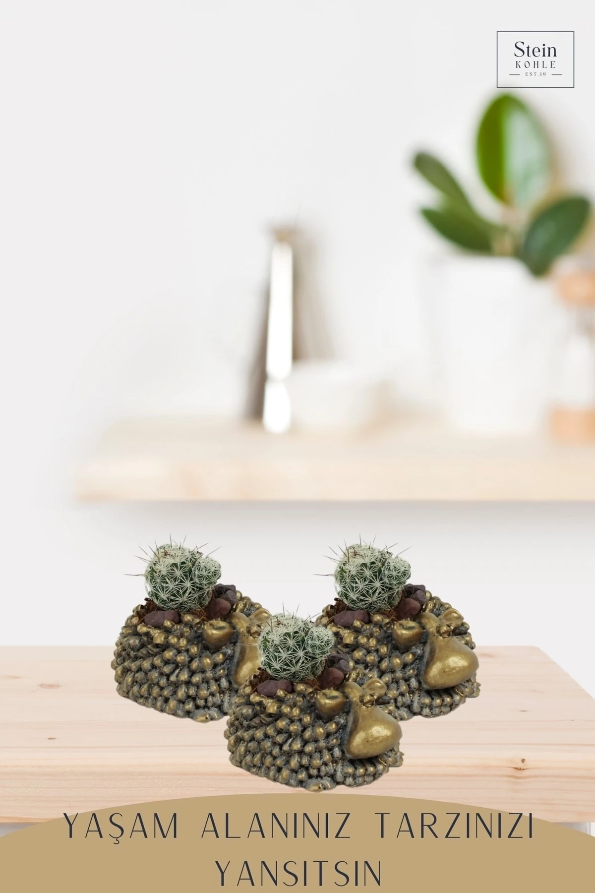 Dekoratif Saksı Minik Kaktüs Saksısı Altın Eskitme Renk 3 Adet Saksı Seti Koyun Model