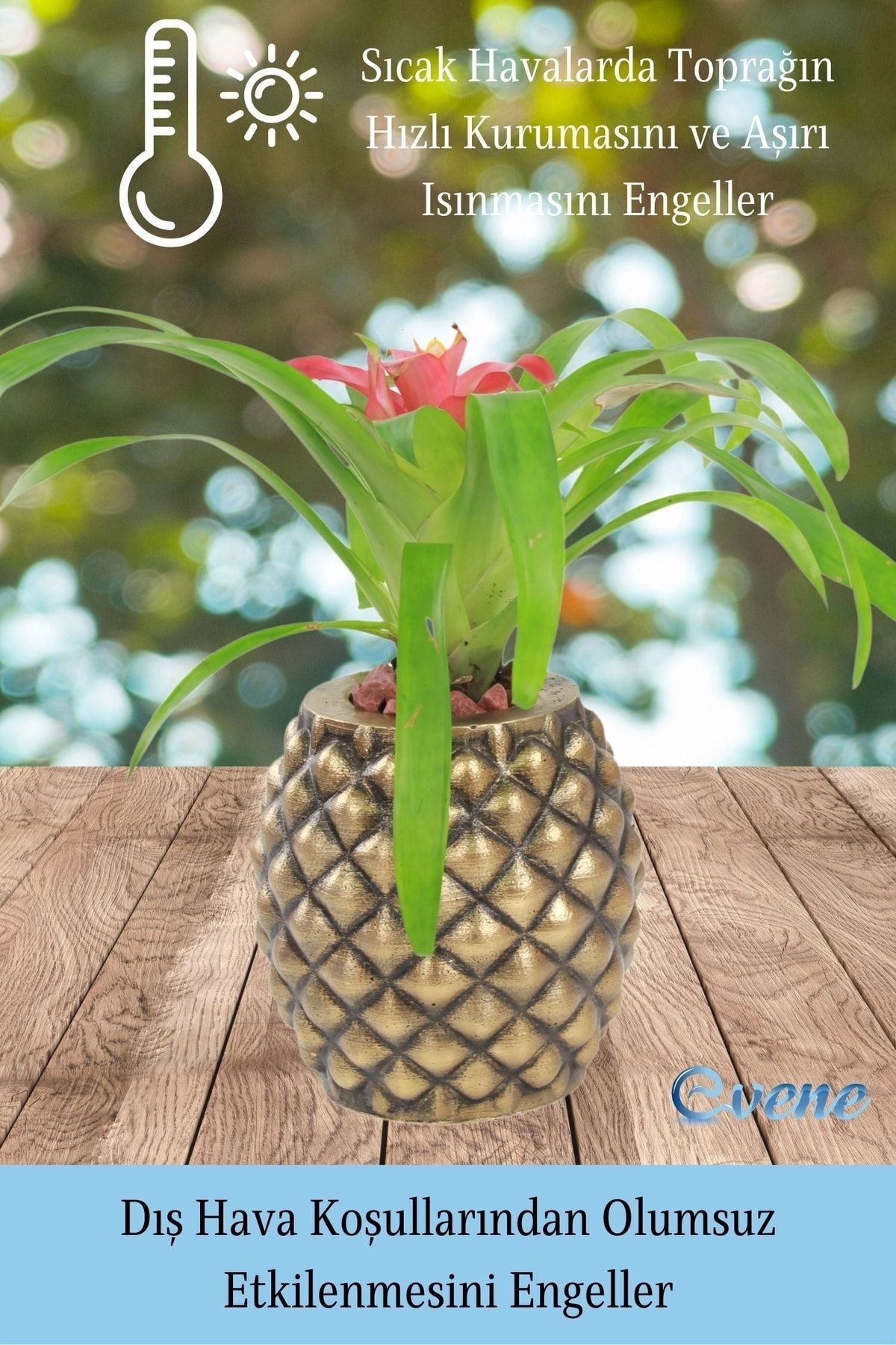 Saksı Çiçek Kaktüs Saksısı Lüx 15 Cm Altın Eskitme Varak Boyalı Ananas Desen Saksı Çiçeklik