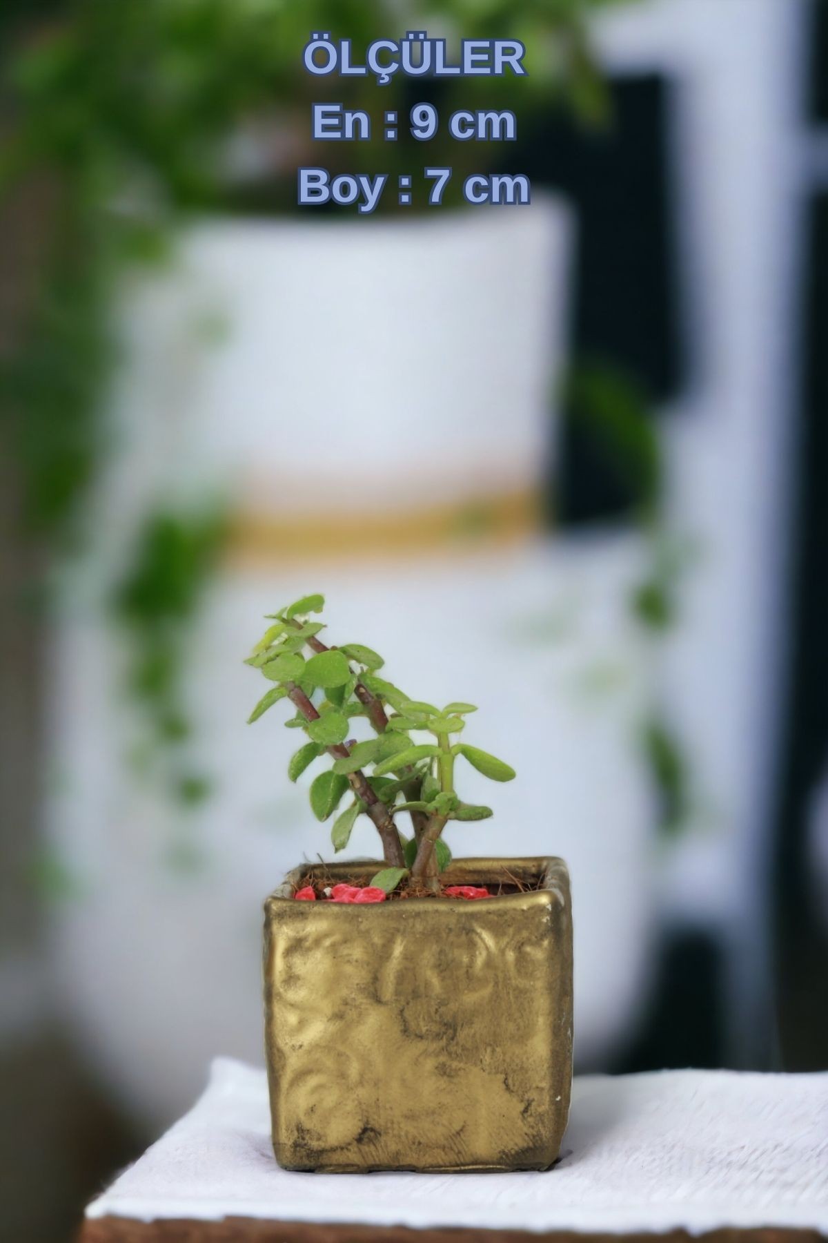 Siyah - Altın thumbnail image