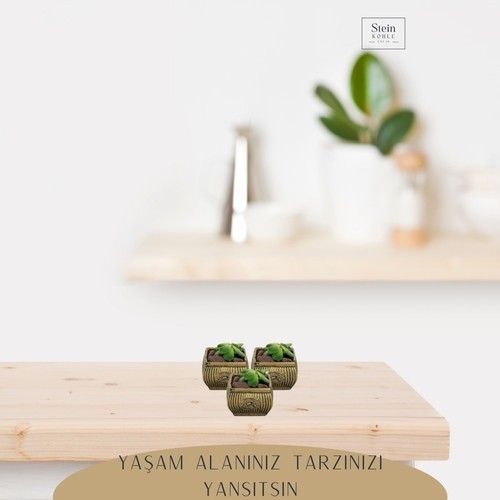 Stein Kohle Dekoratif Saksı Minik Kaktüs Saksısı Mini Çizgili Çiçekli Model